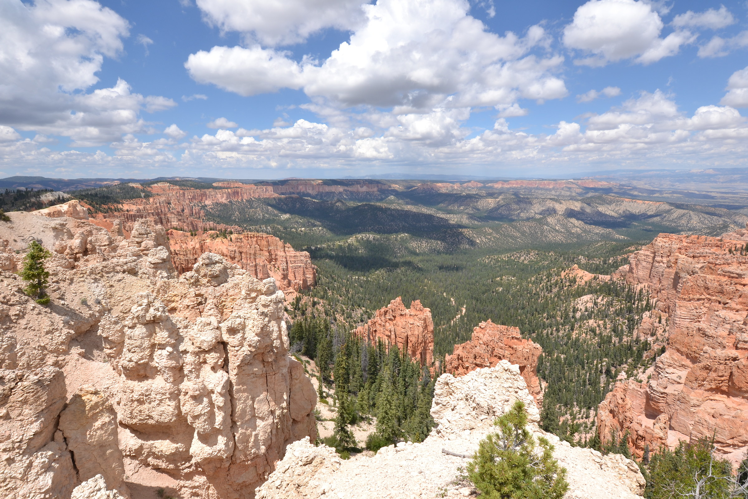 Bryce Canyon - Rainbow Point
