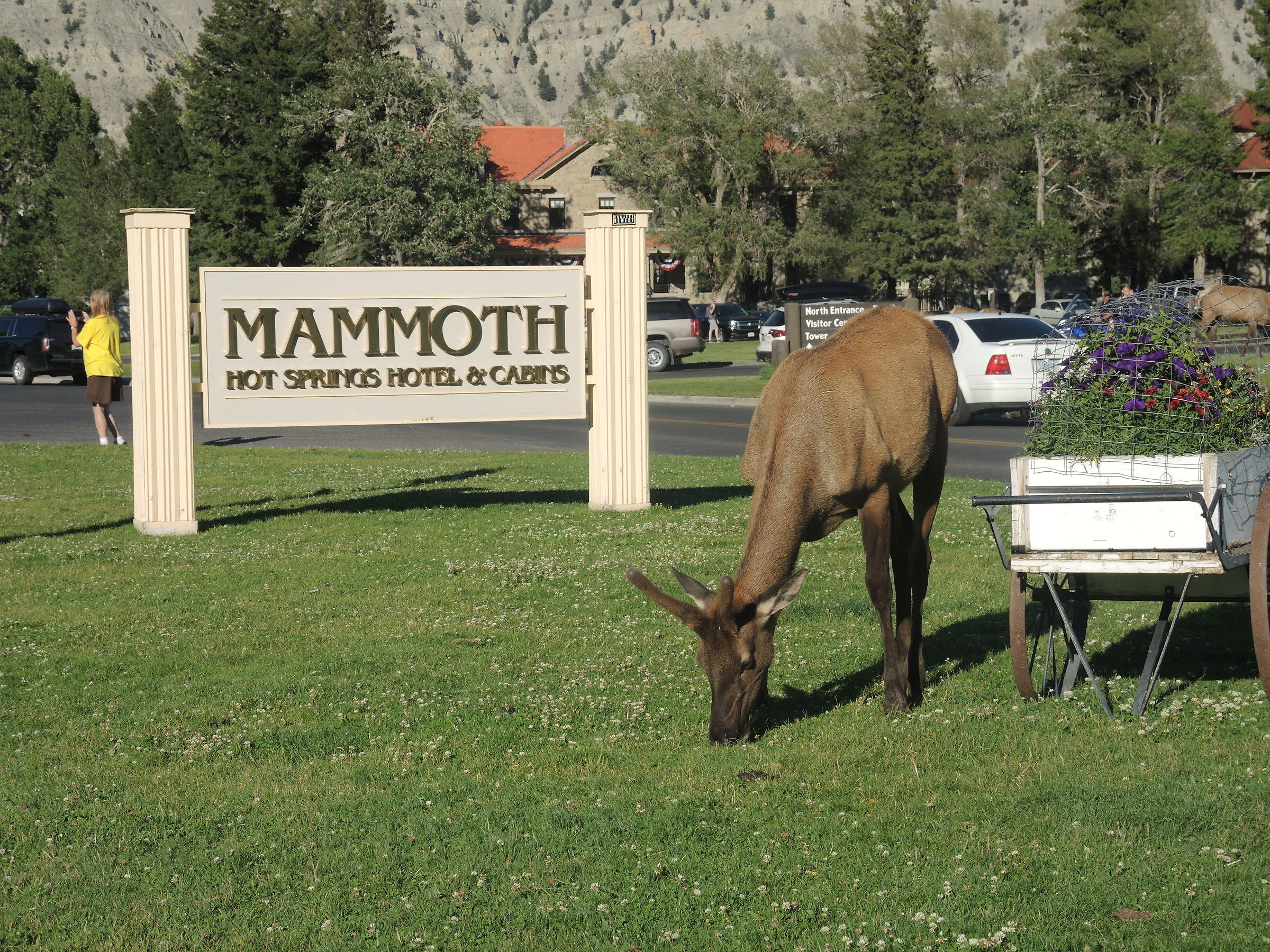 Yellowstone - Mammoth Hot Springs