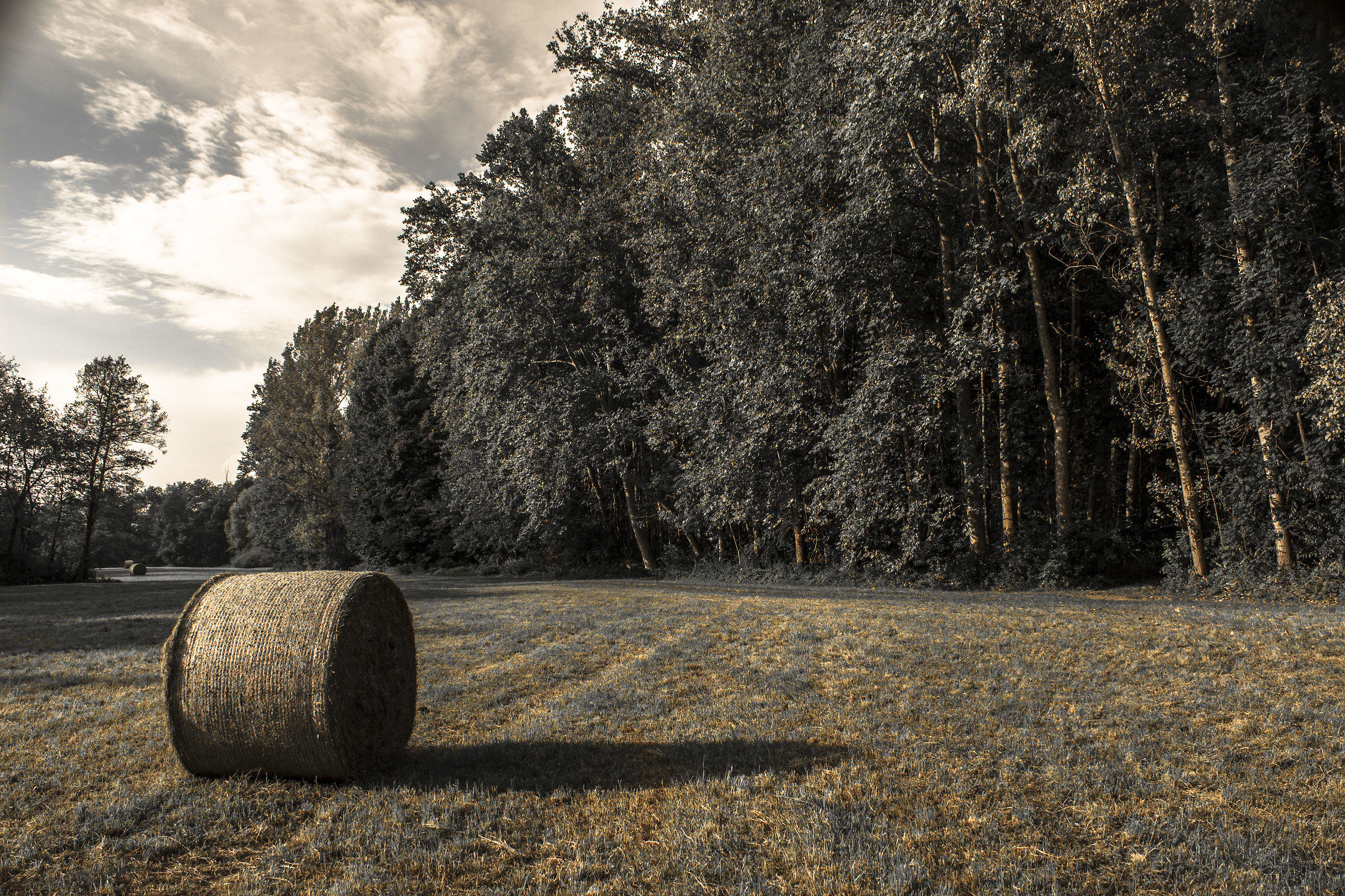 Impressioni di settembre