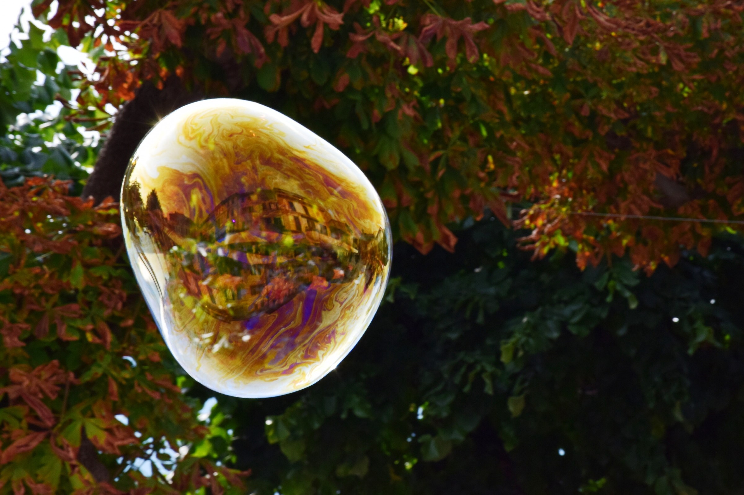 bolla di sapone con riflesso casa