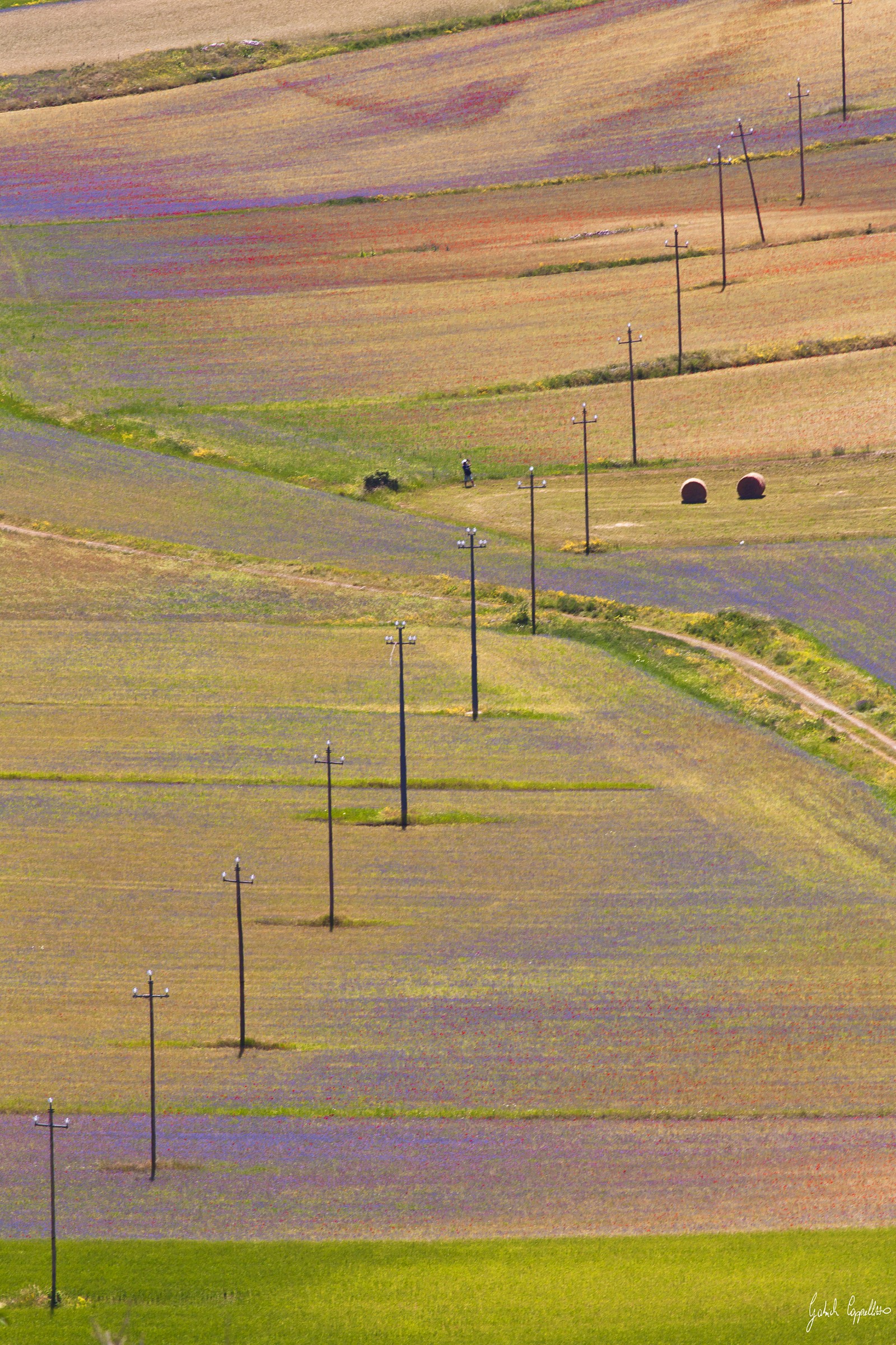 Castelluccio di Norcia