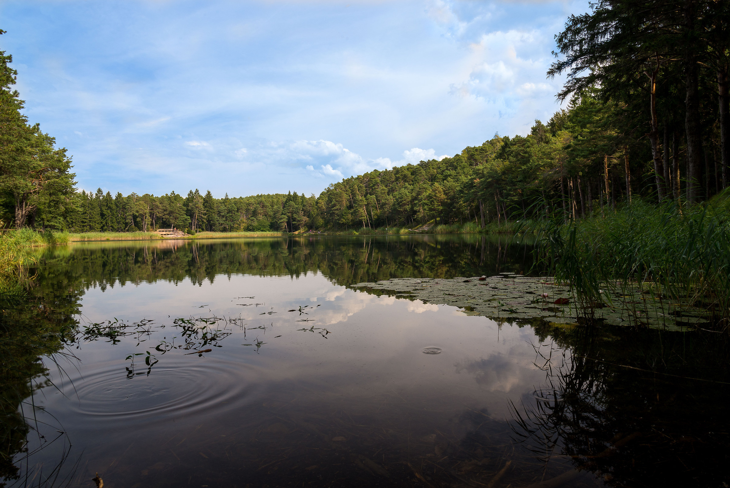 Lake Santa Colomba In Trentino