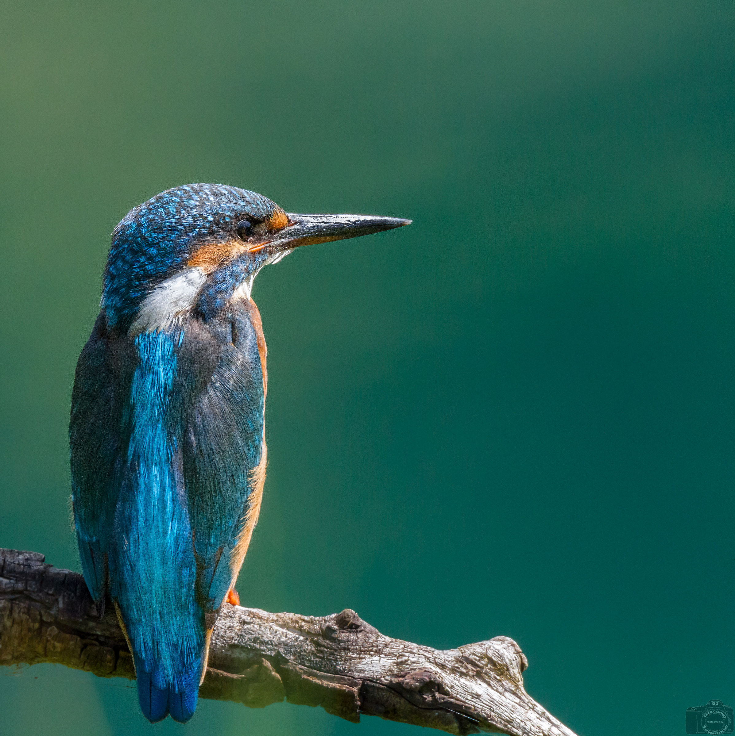 She simply posing ..