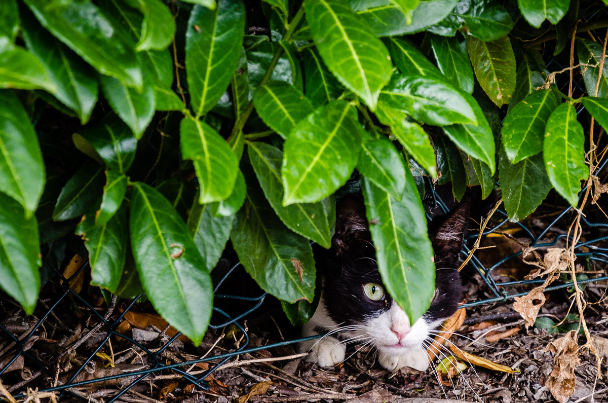 I see you, you know!