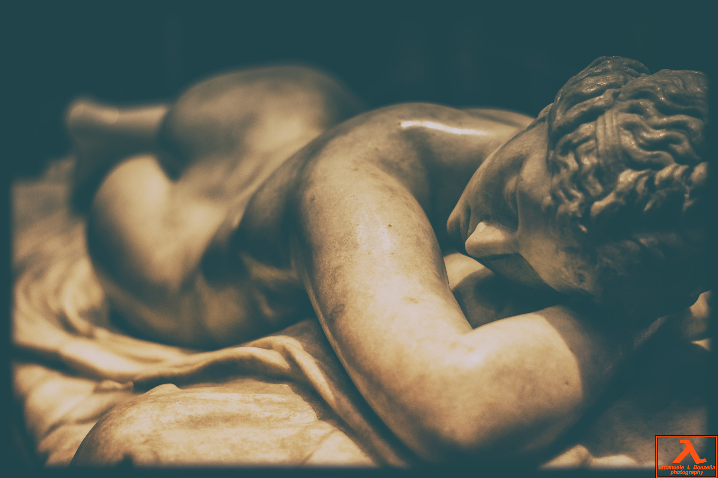 sleeping hermaphrodite