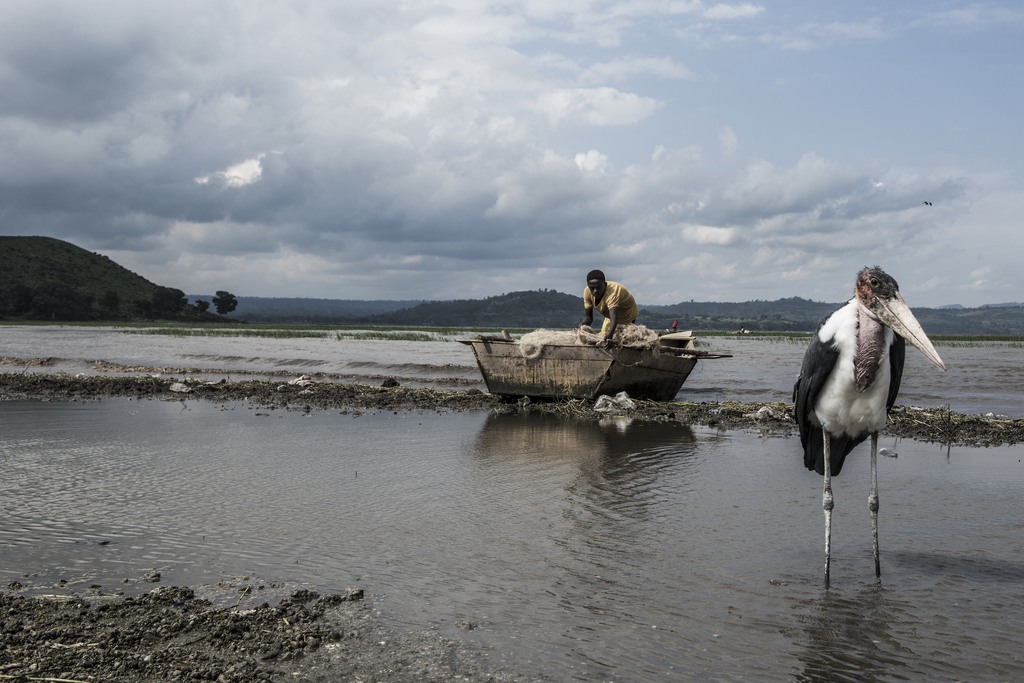 Lake Awasa (Ethiopia)