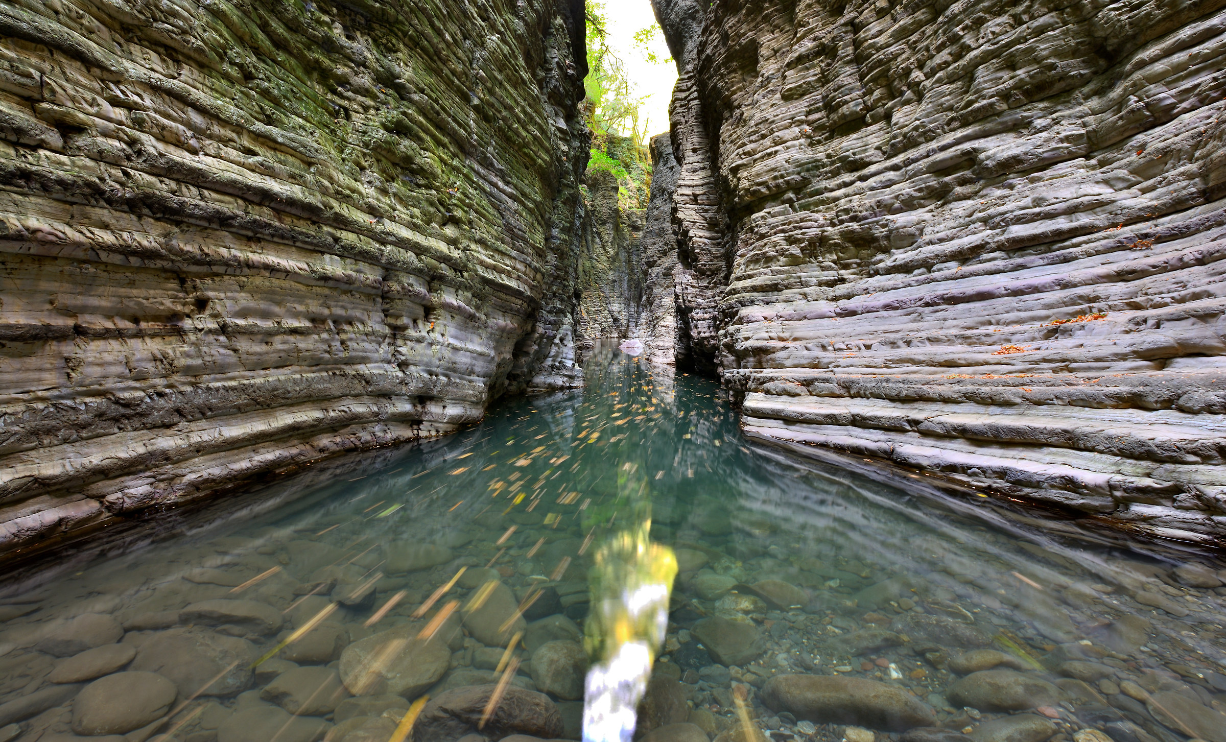 Risalendo la corrente