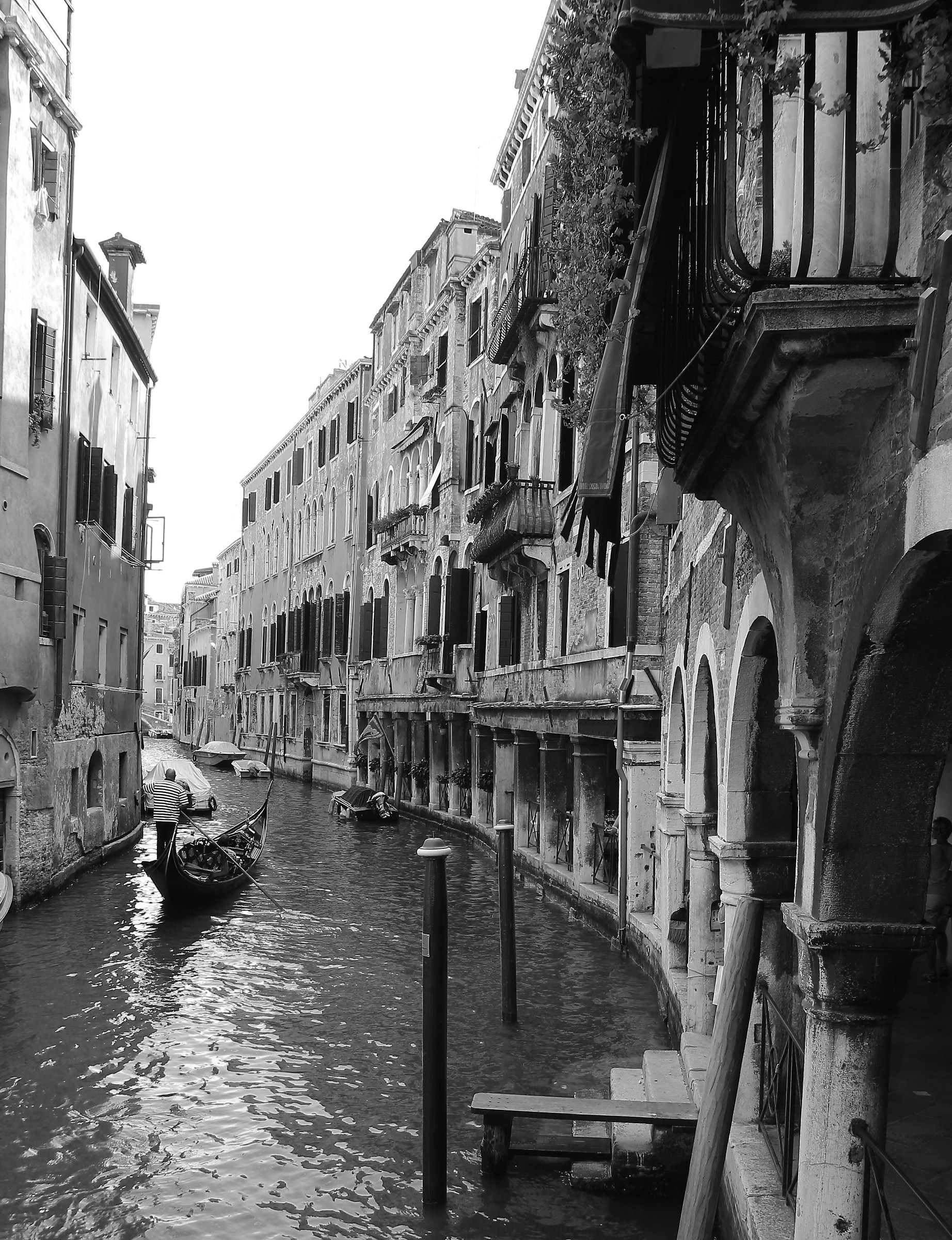 simply Venice