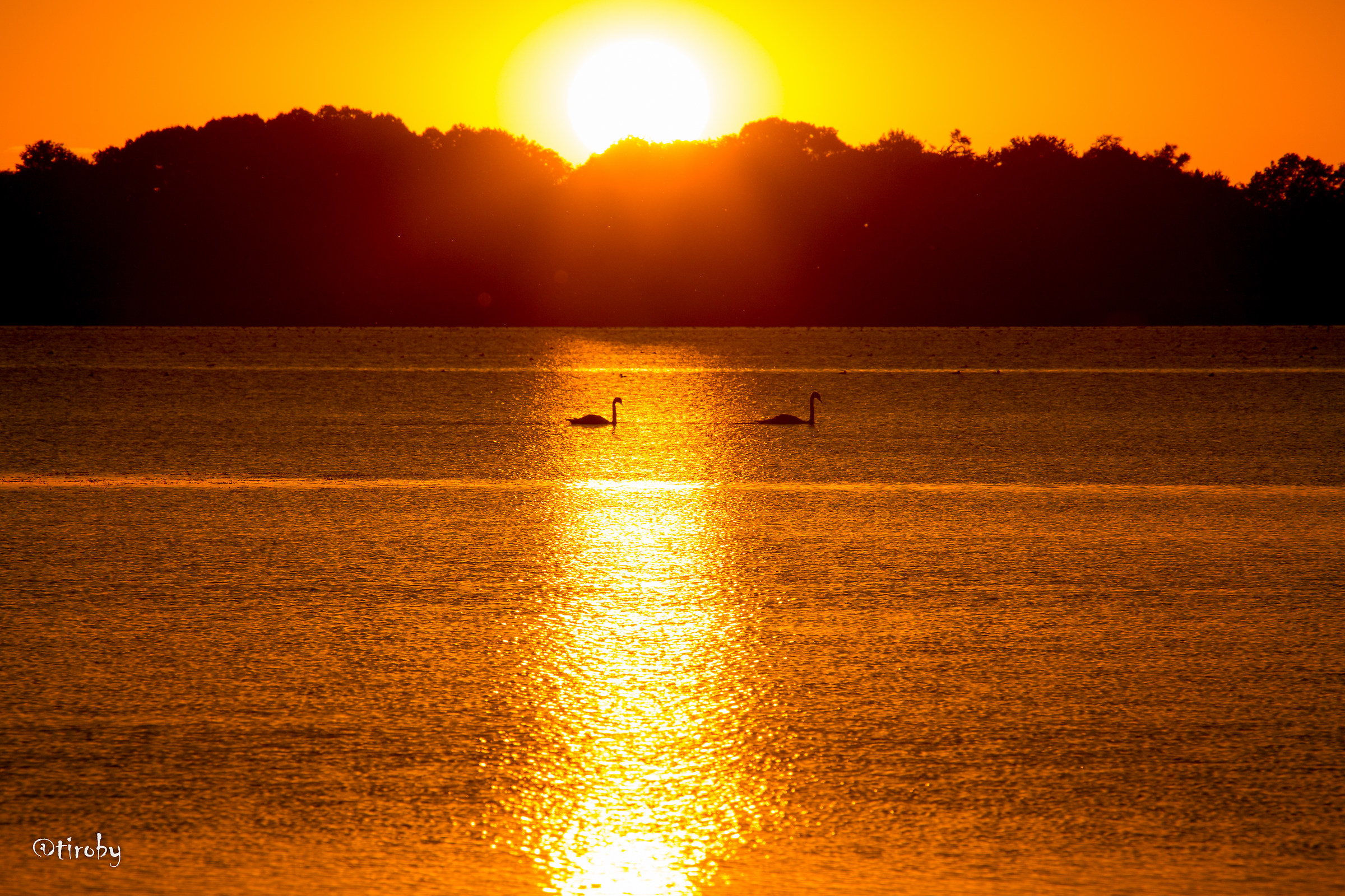 Tramonto a Loosdrecht 1