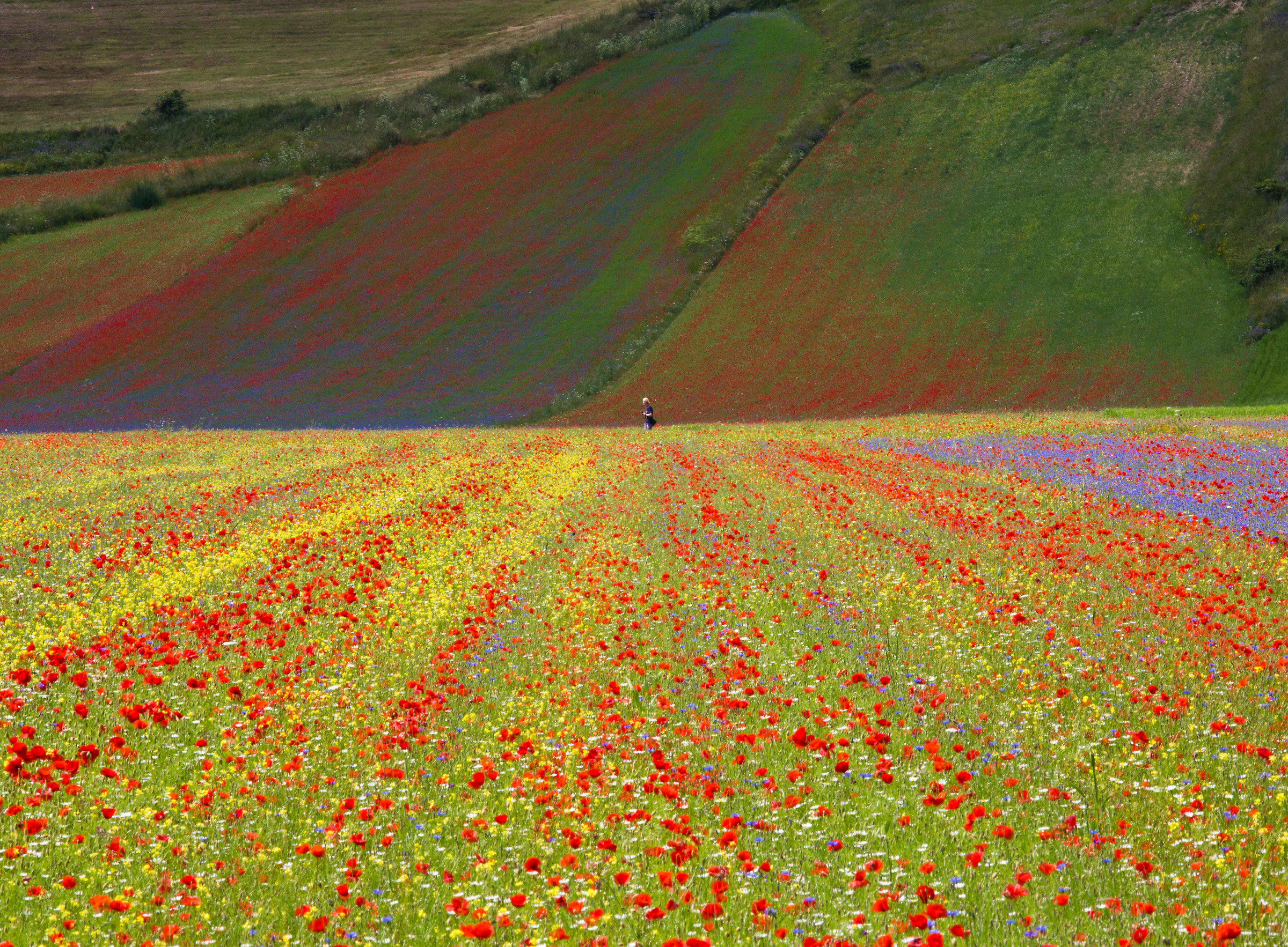 Castelluccio