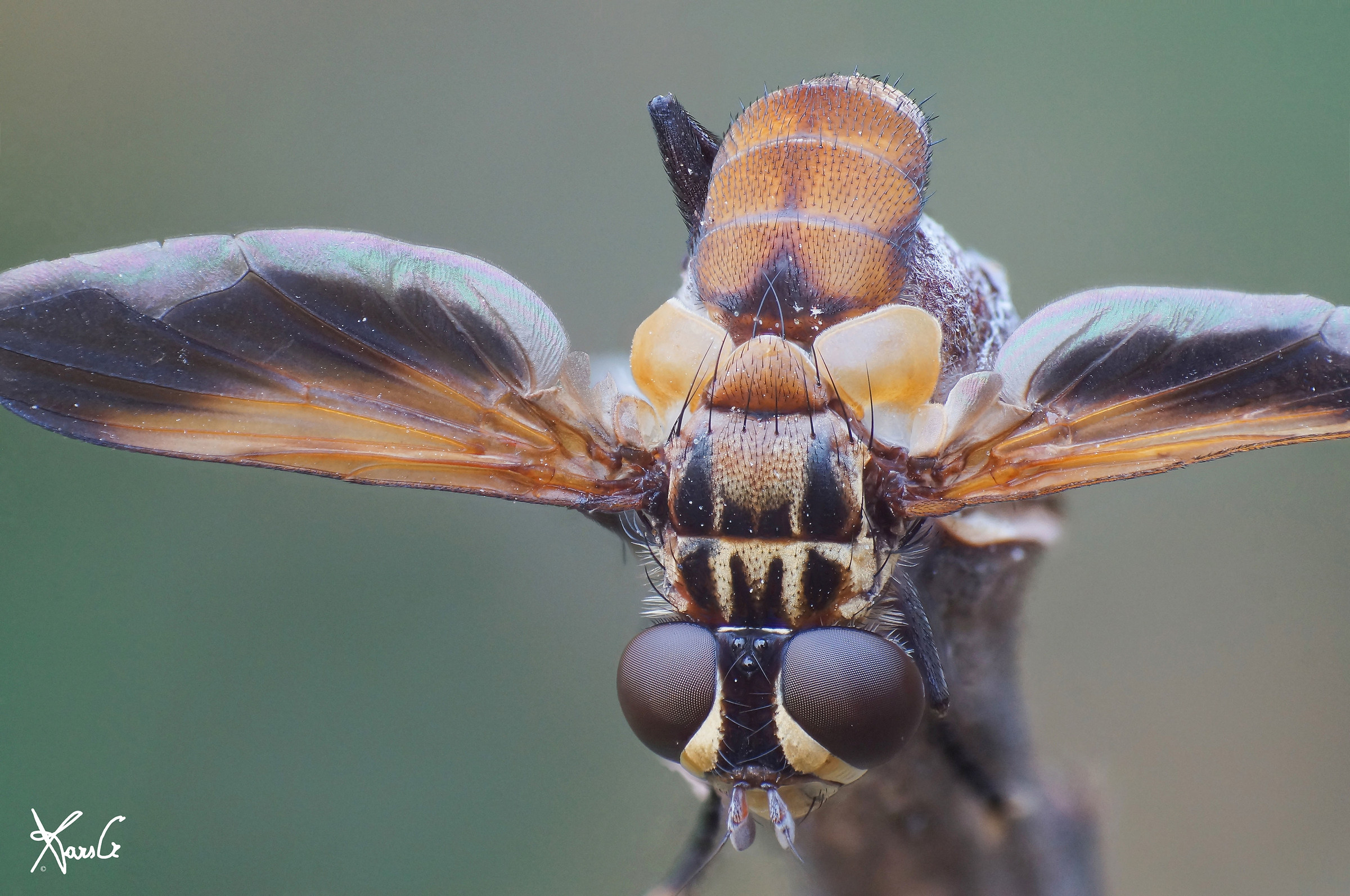 We are in the frame!