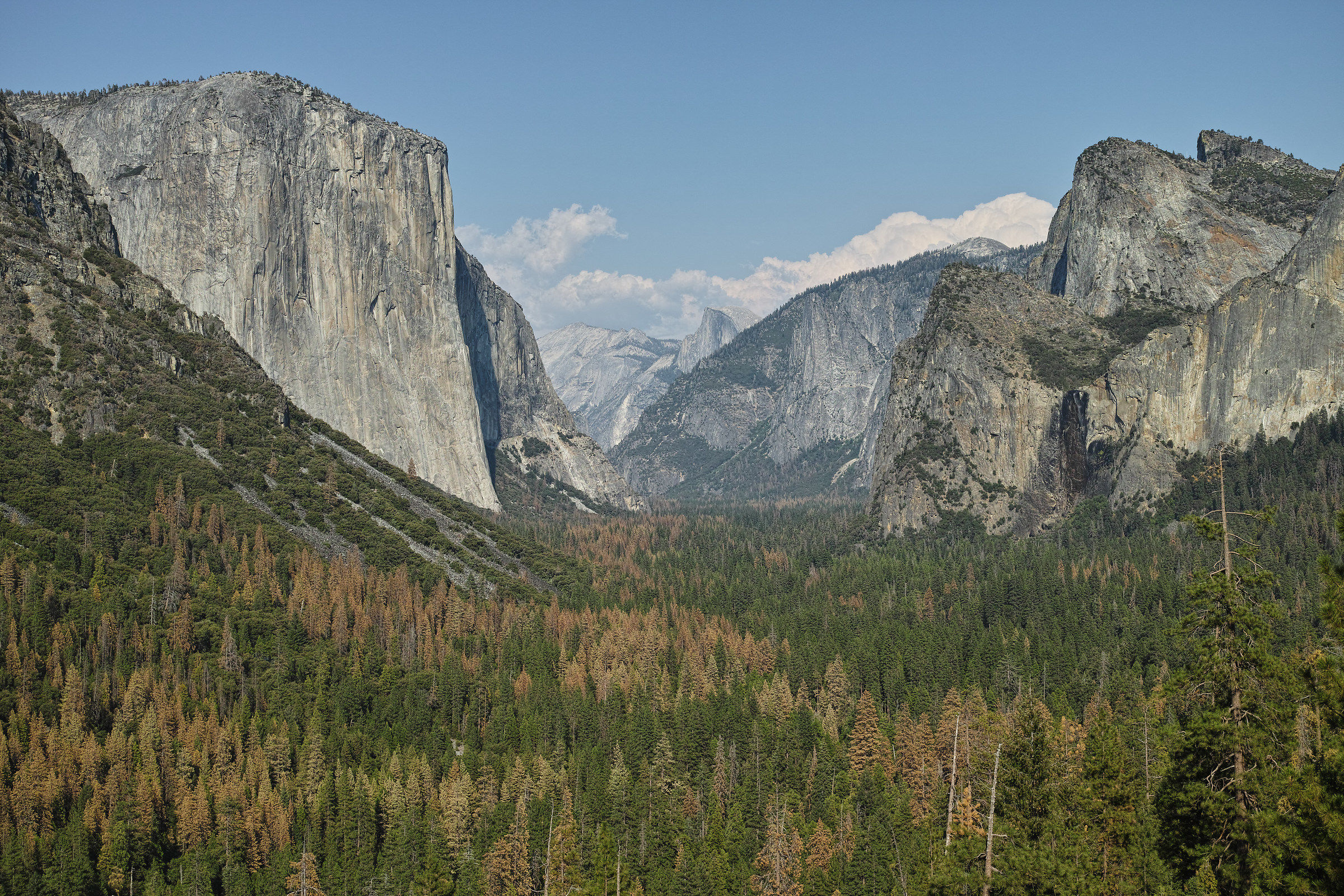 Yosemite Park, California