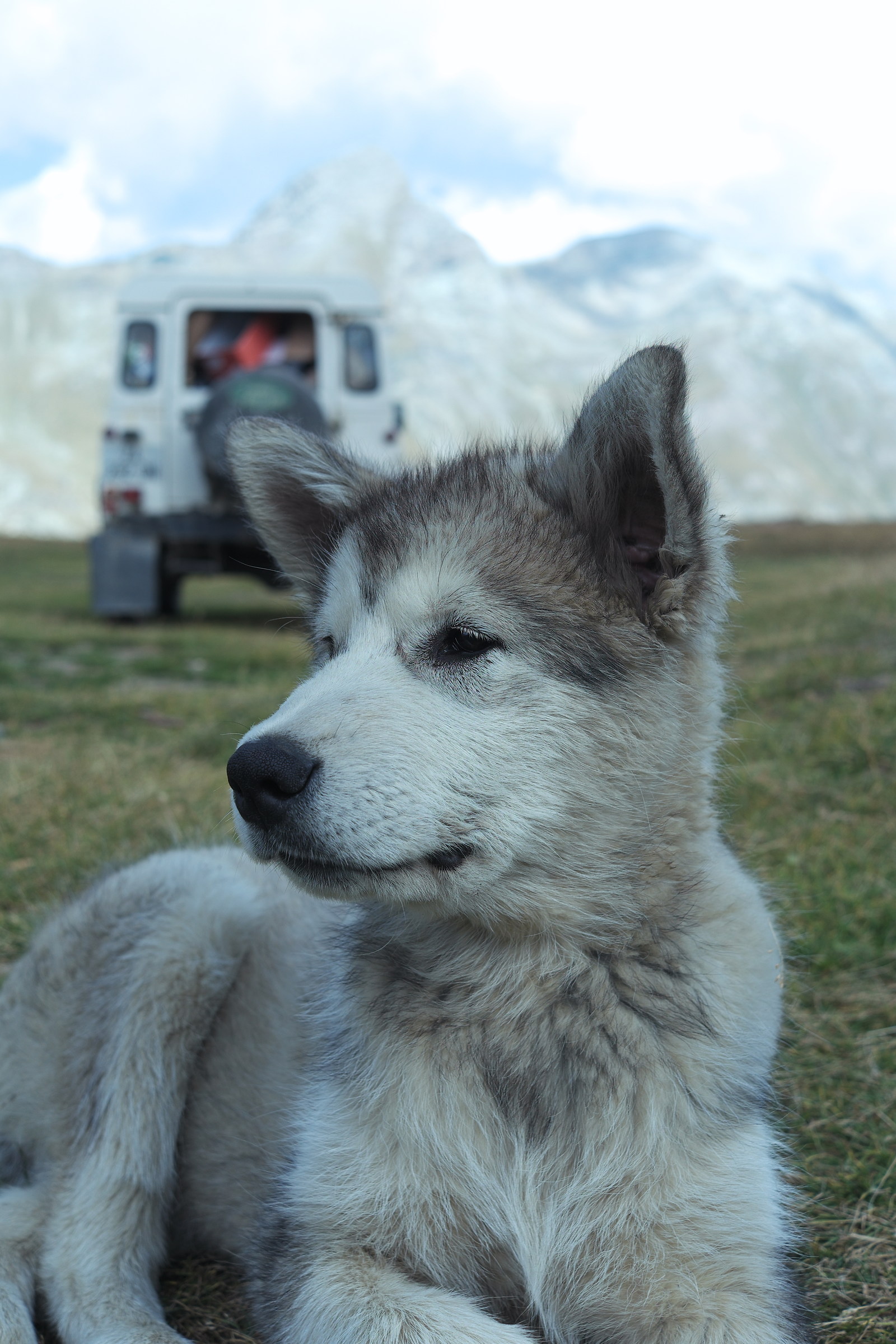 Naturalmente...fotogenico