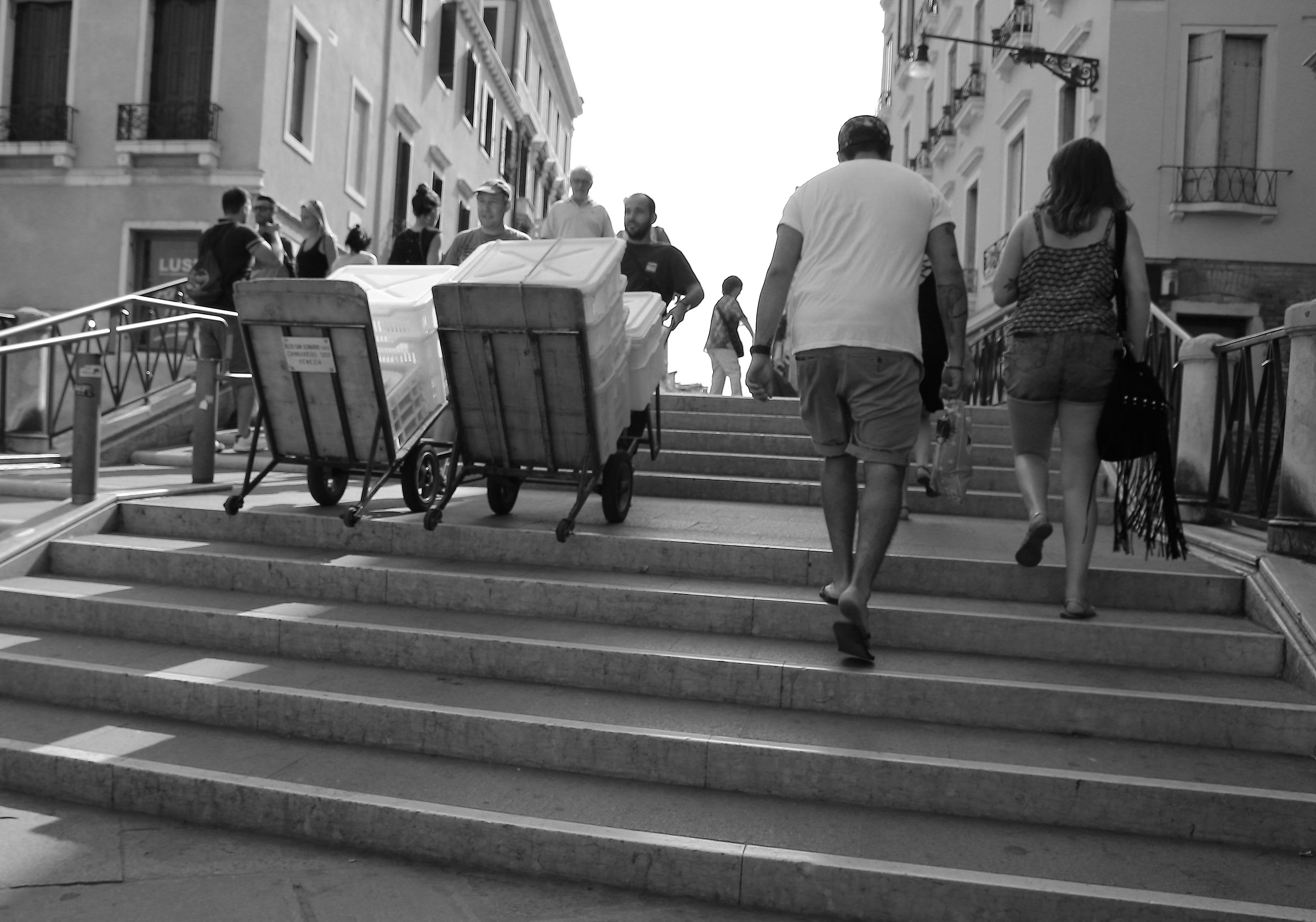 Venice who falls and who rises