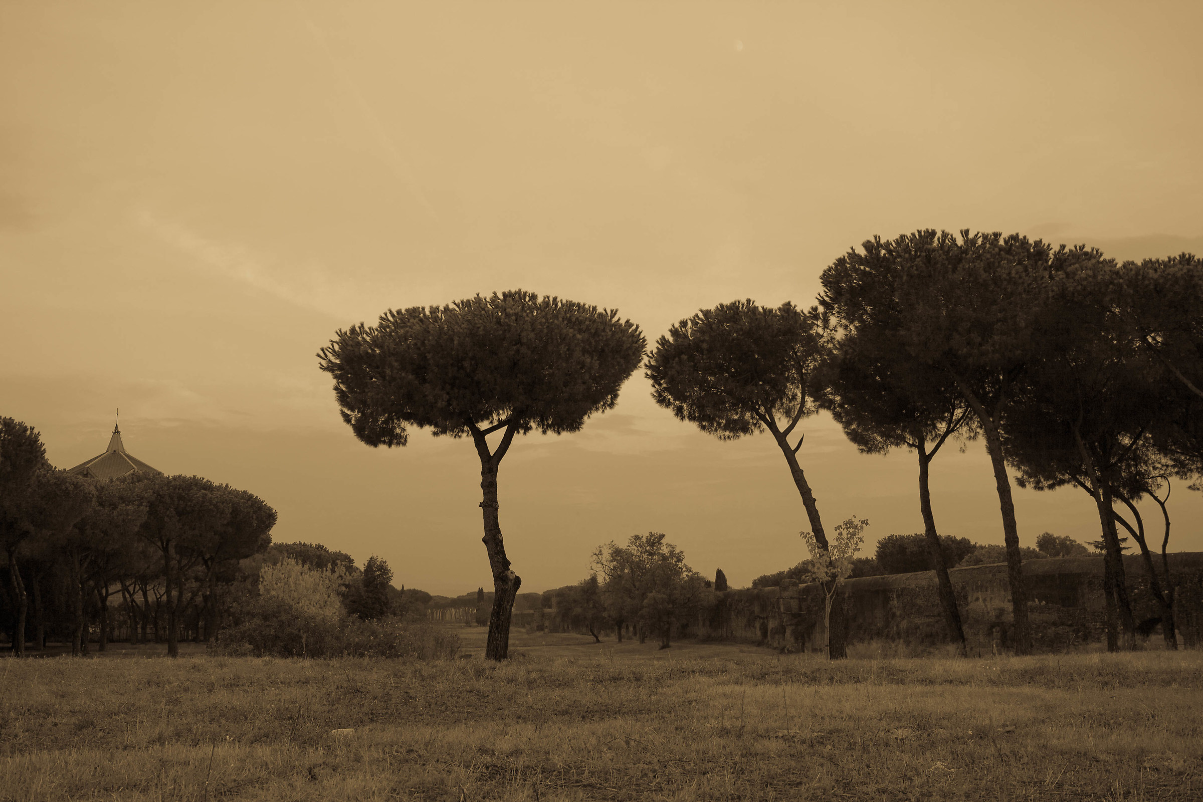 foto antica s.policarpo