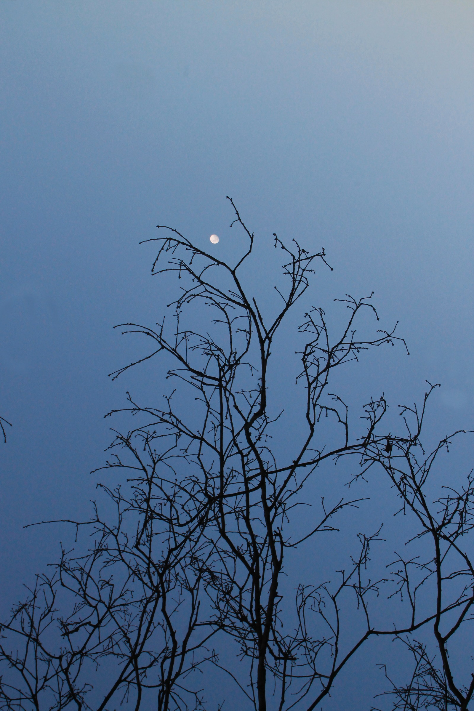 Fulmini a ciel sereno