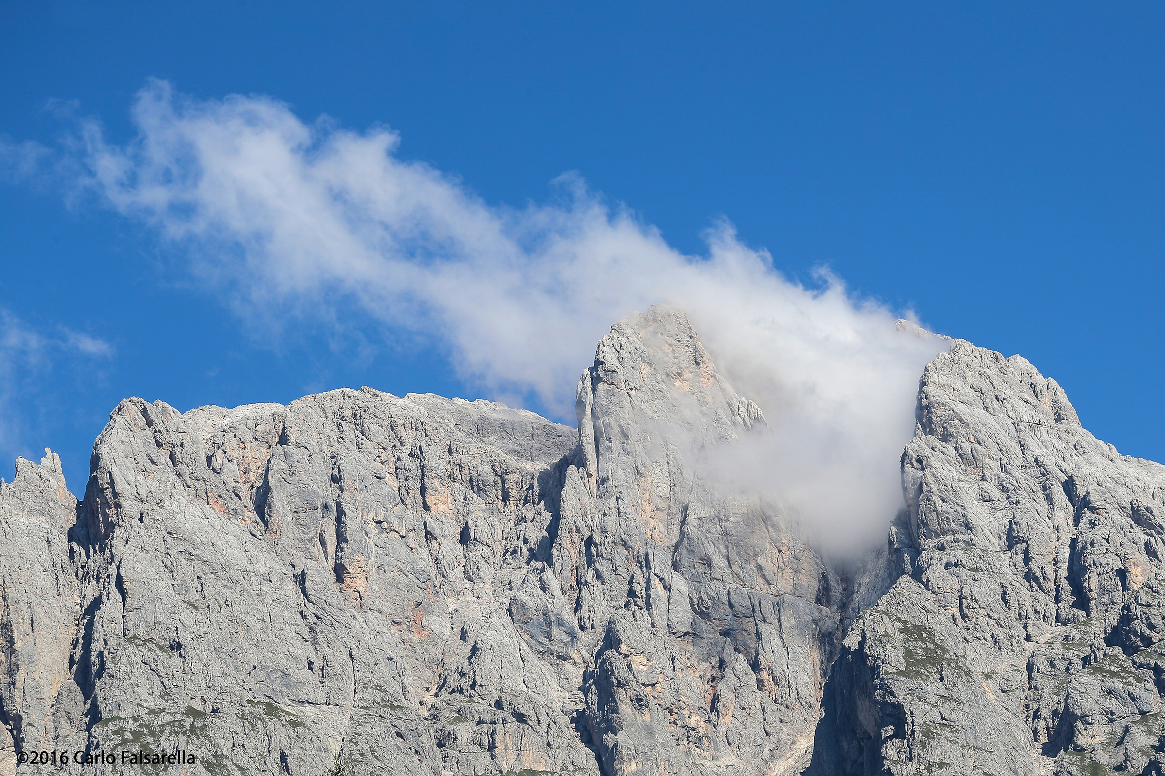 Details from Sagron Mis