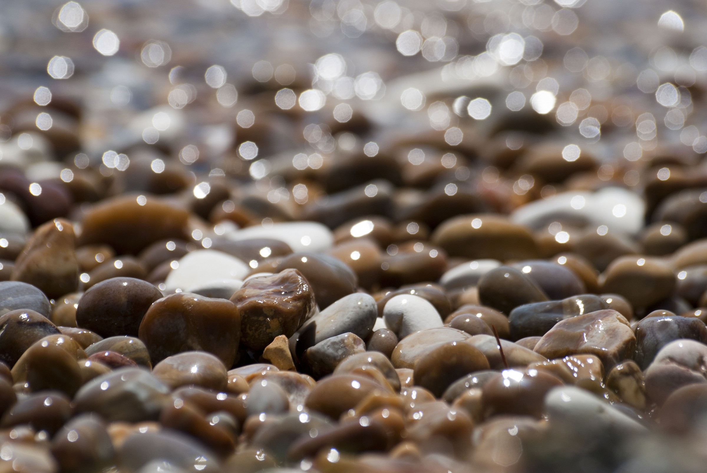 sassolini del Gargano