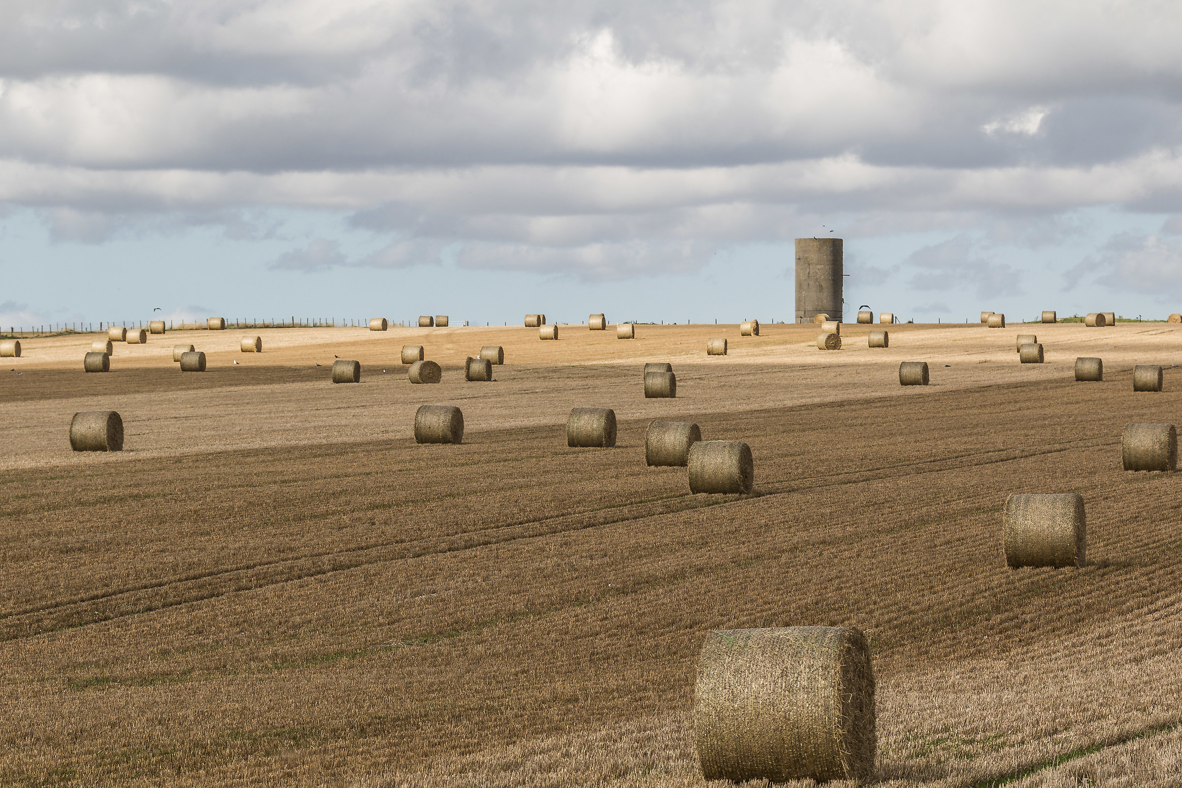 Fields around Stonehenge