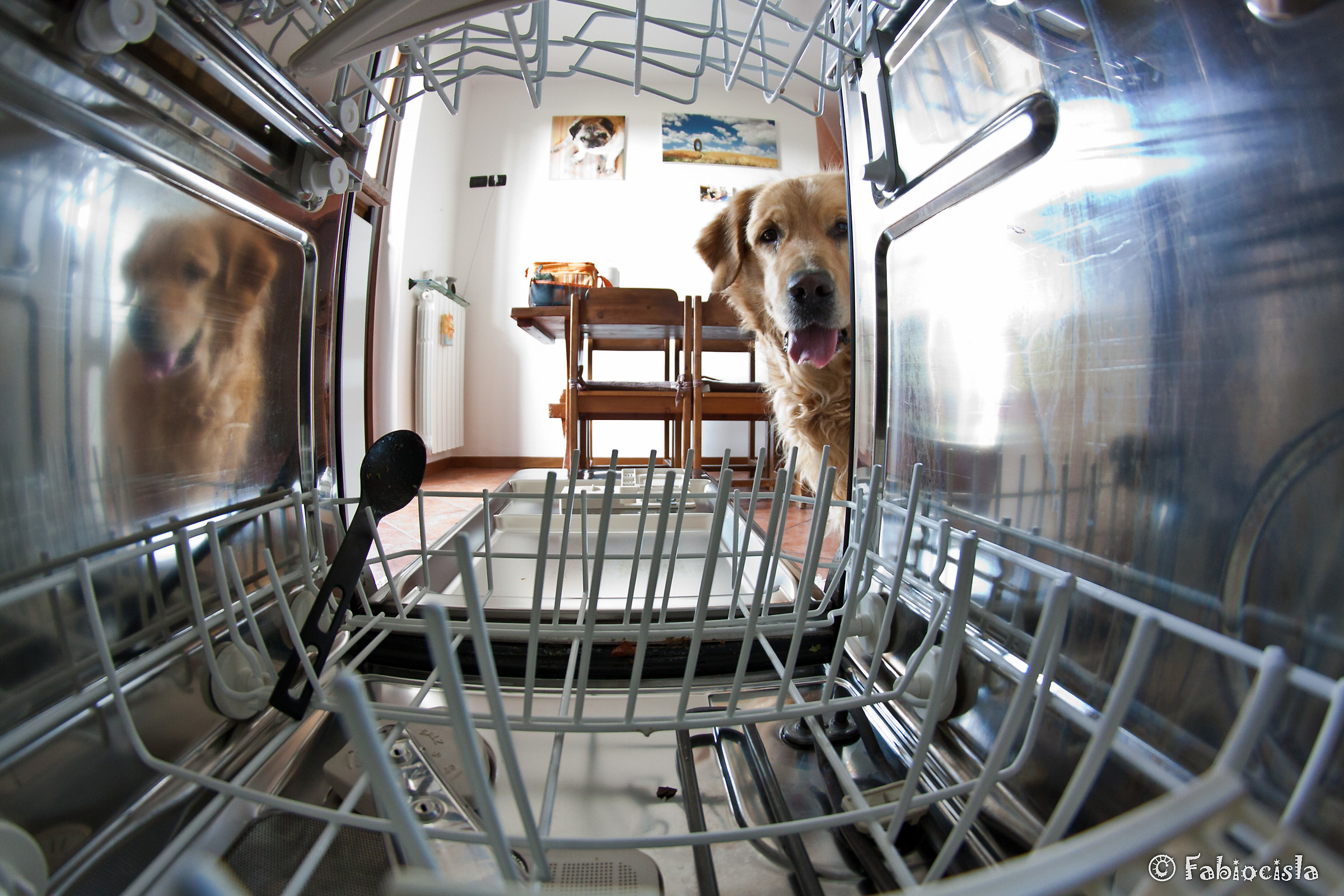 Mannaggia non c'è niente da leccare...