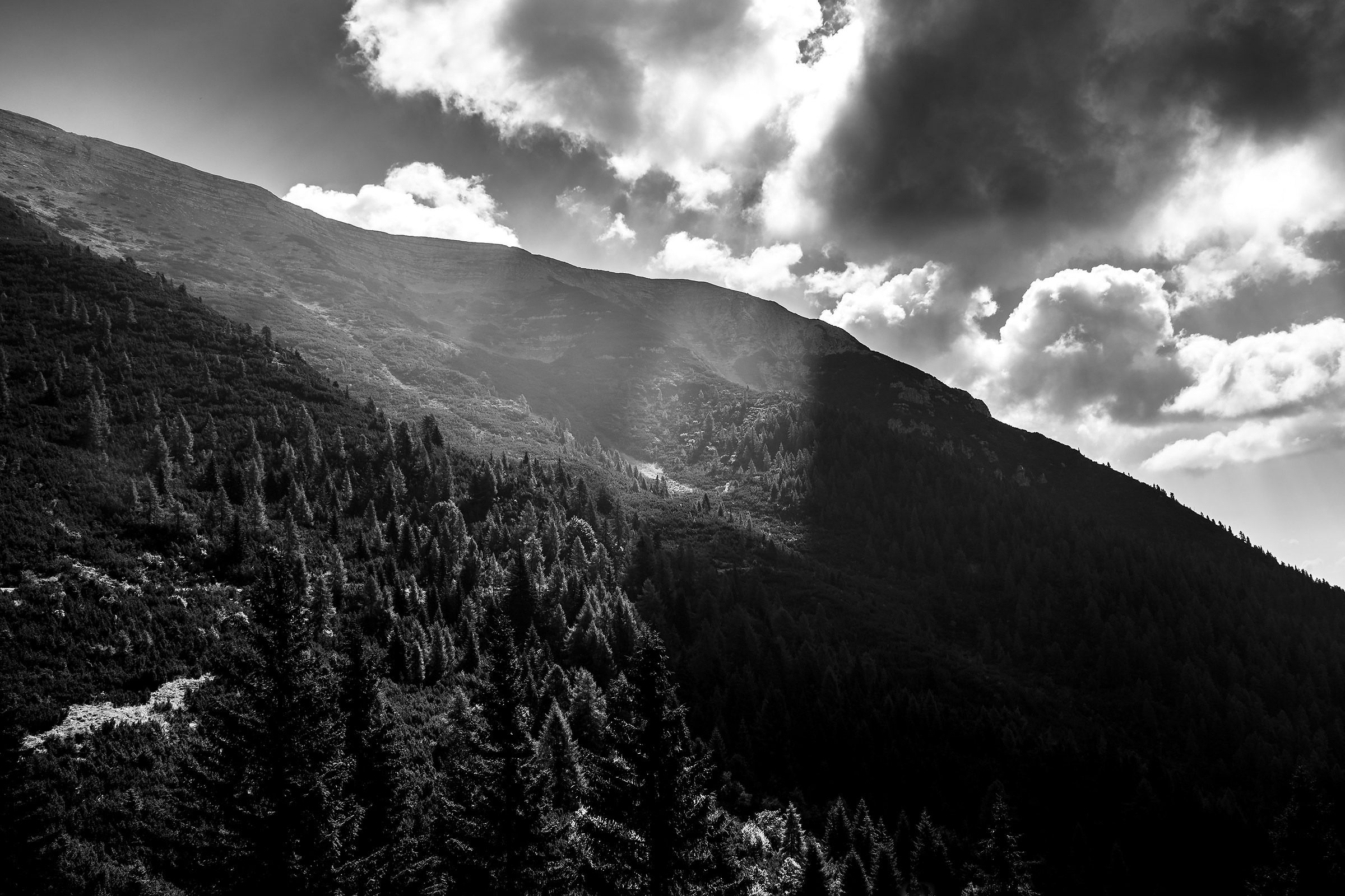Cima Portule, Asiago