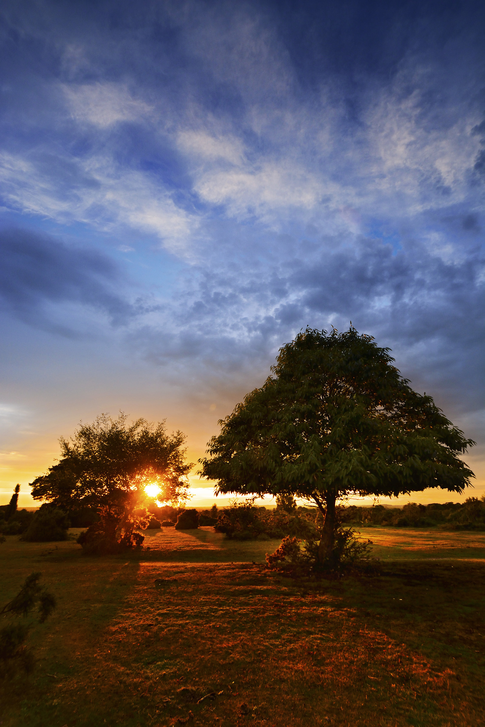 The Sun Finally Breaks Through...