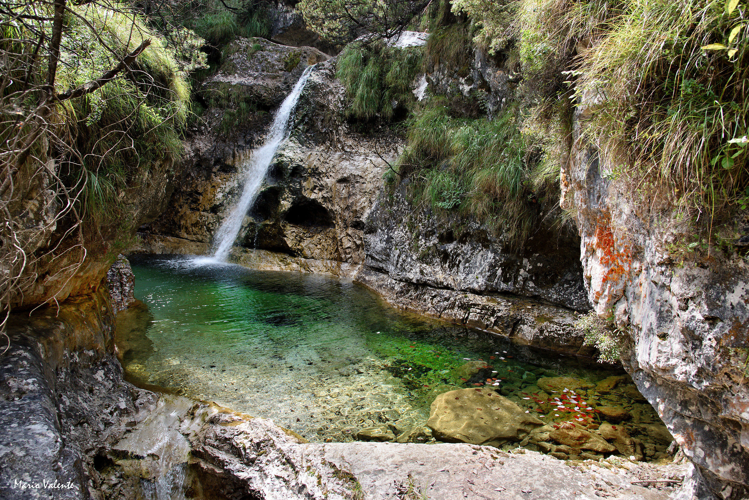 Vasche naturali - I Cadini di Brenton