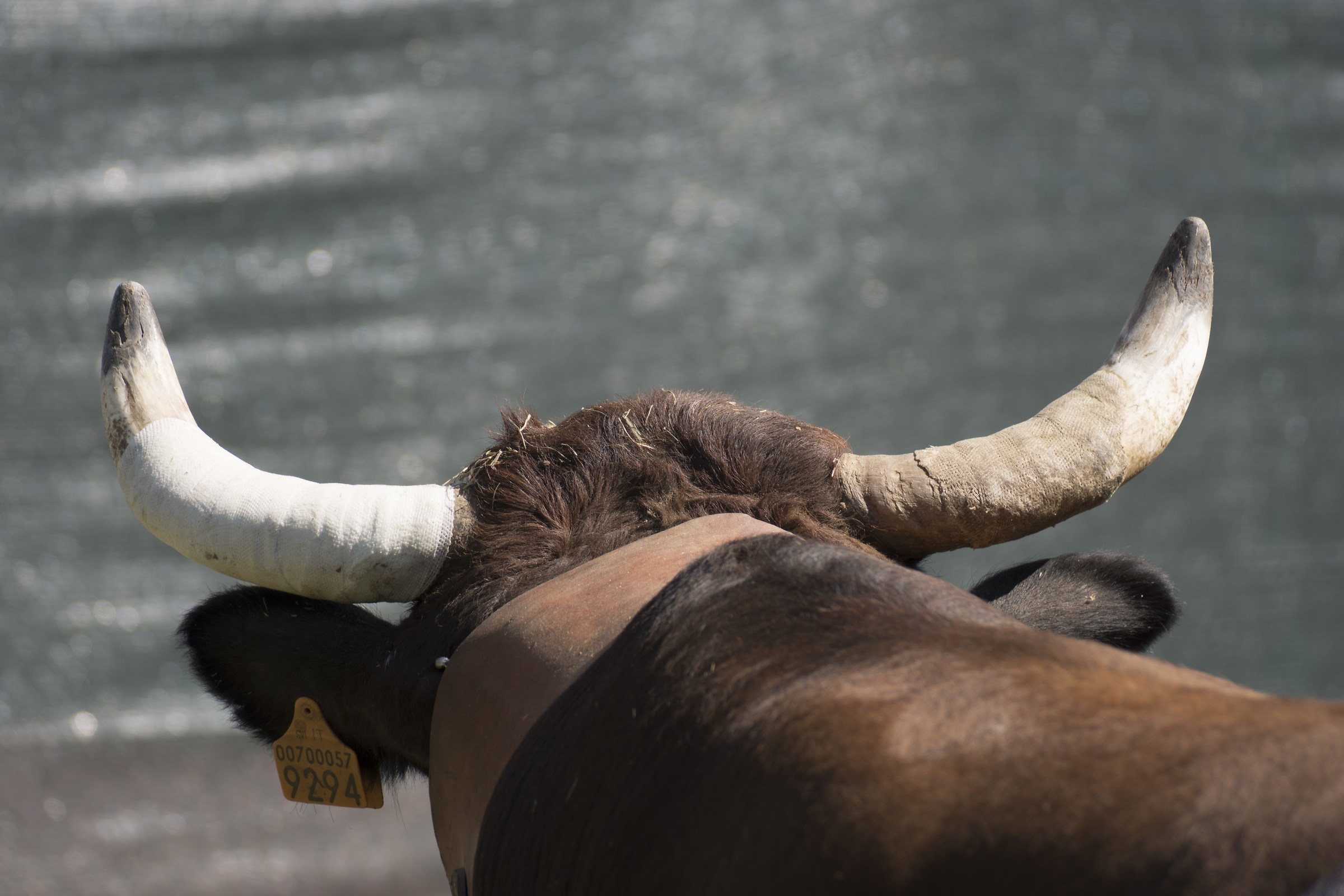 There is measured by these "weapons"