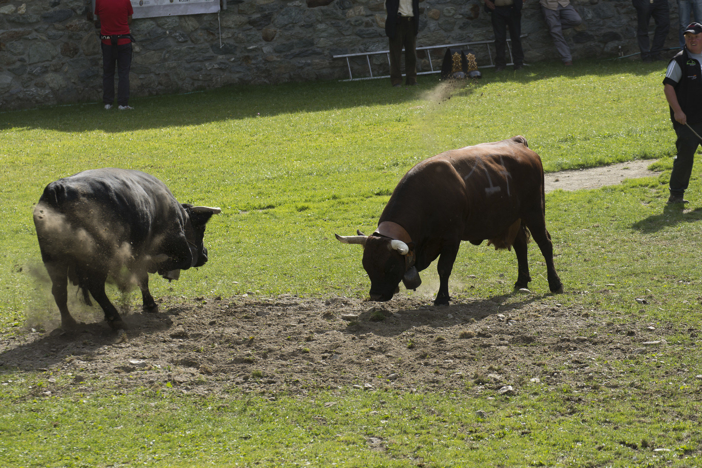 Beginning of contention