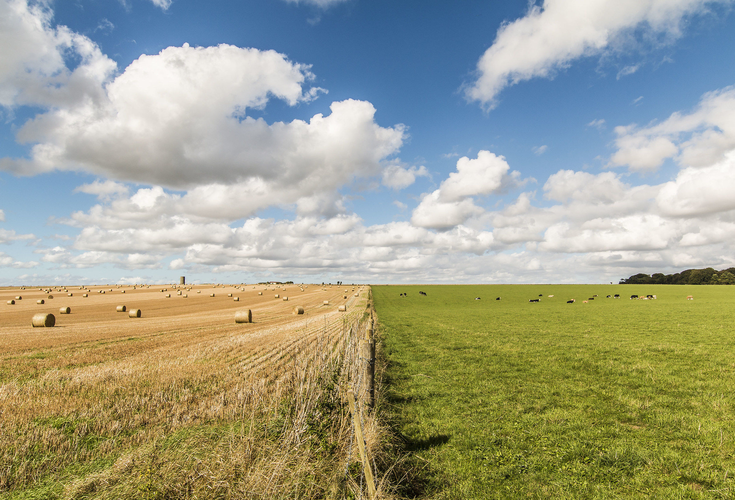 Fields around Stonehenge