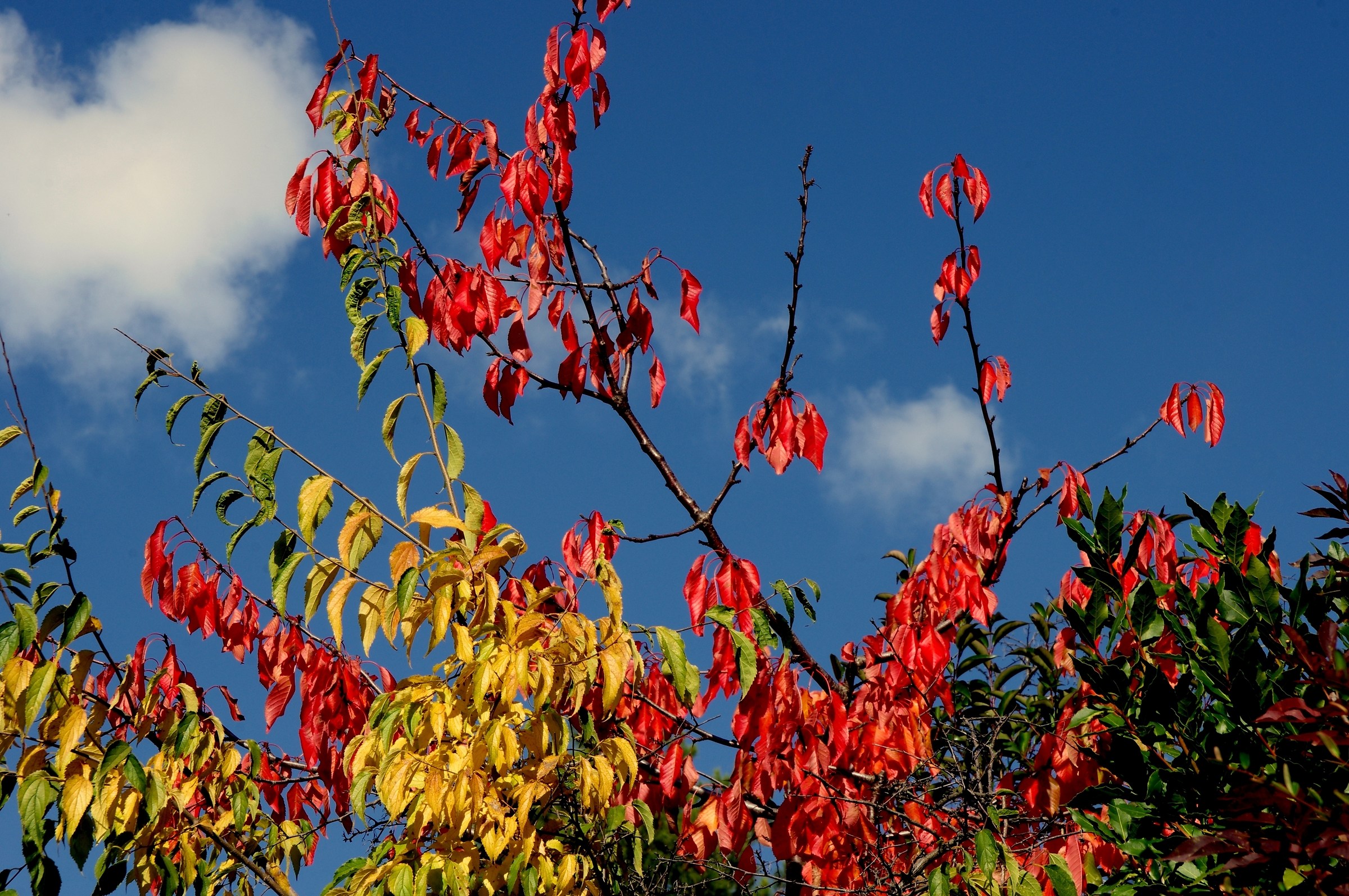 Between Earth and Sky