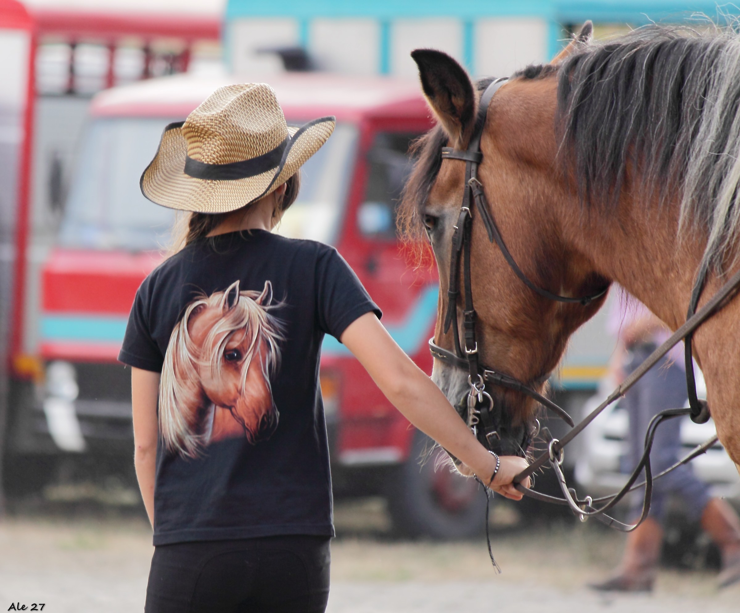 ... The girl Horse Whisperer .....