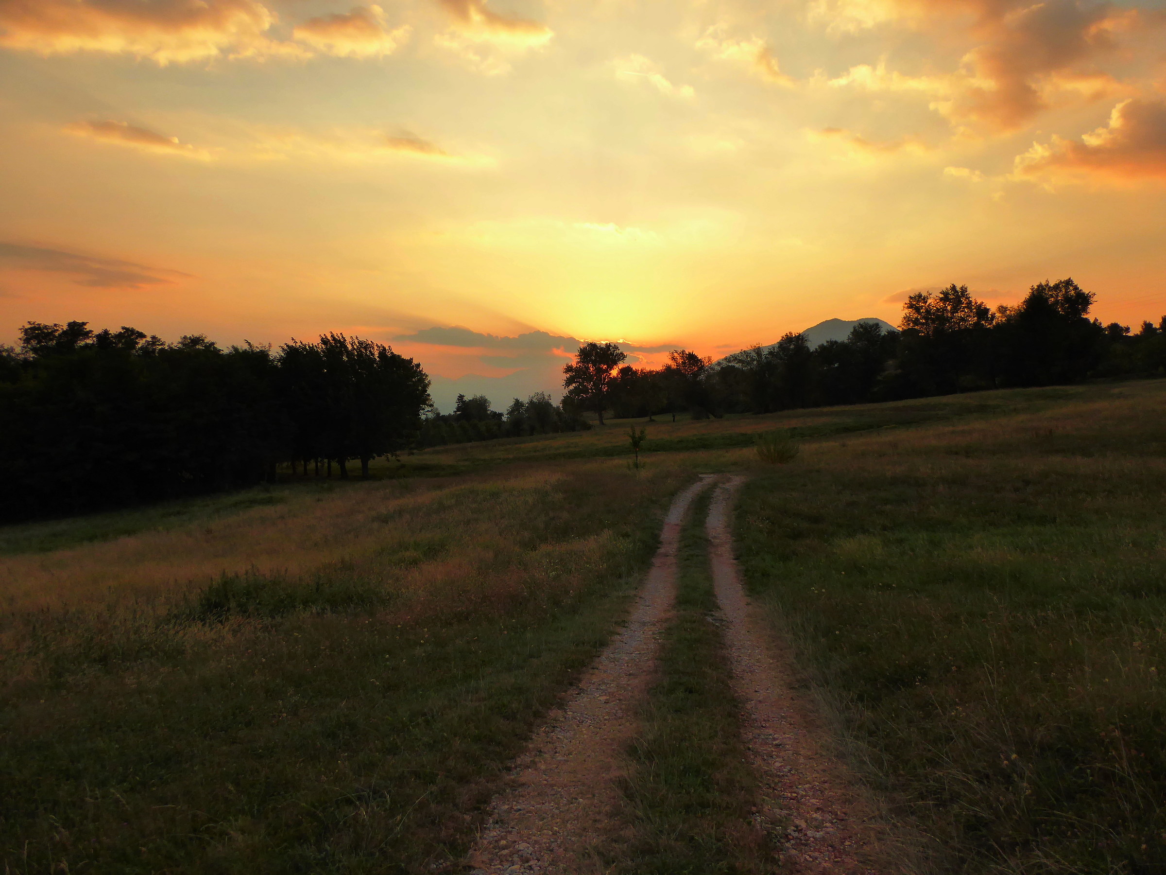 Centrale di Zugliano,la strada di Oriano