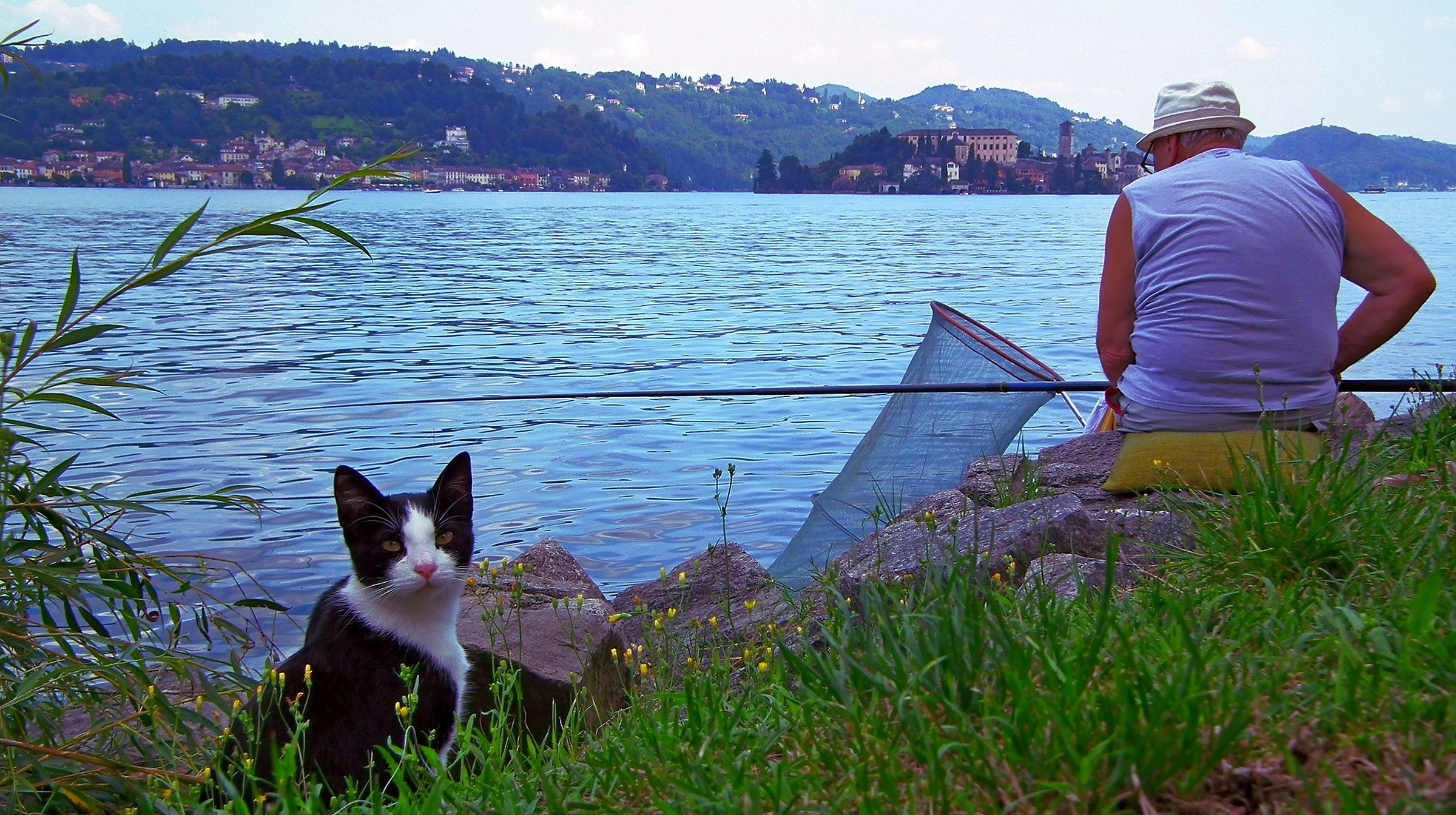 L'attesa per un succulento pasto