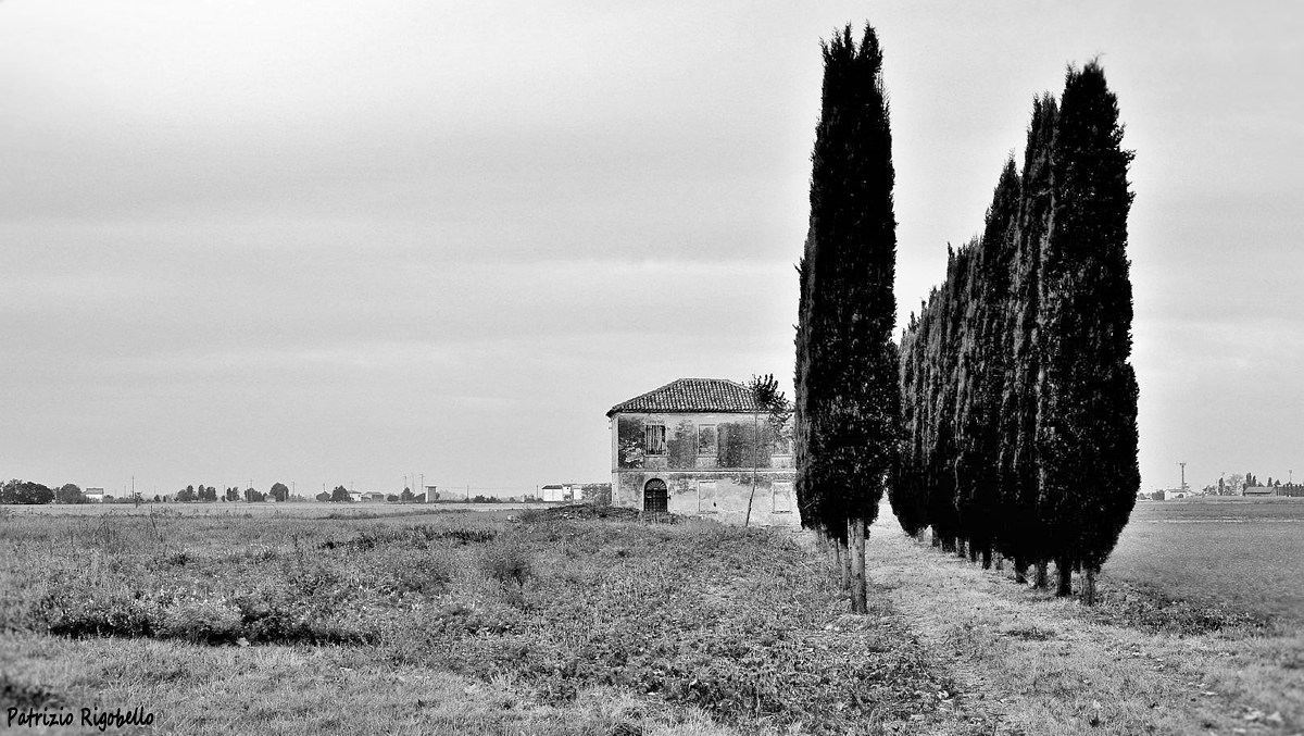 La casa dei cipressi