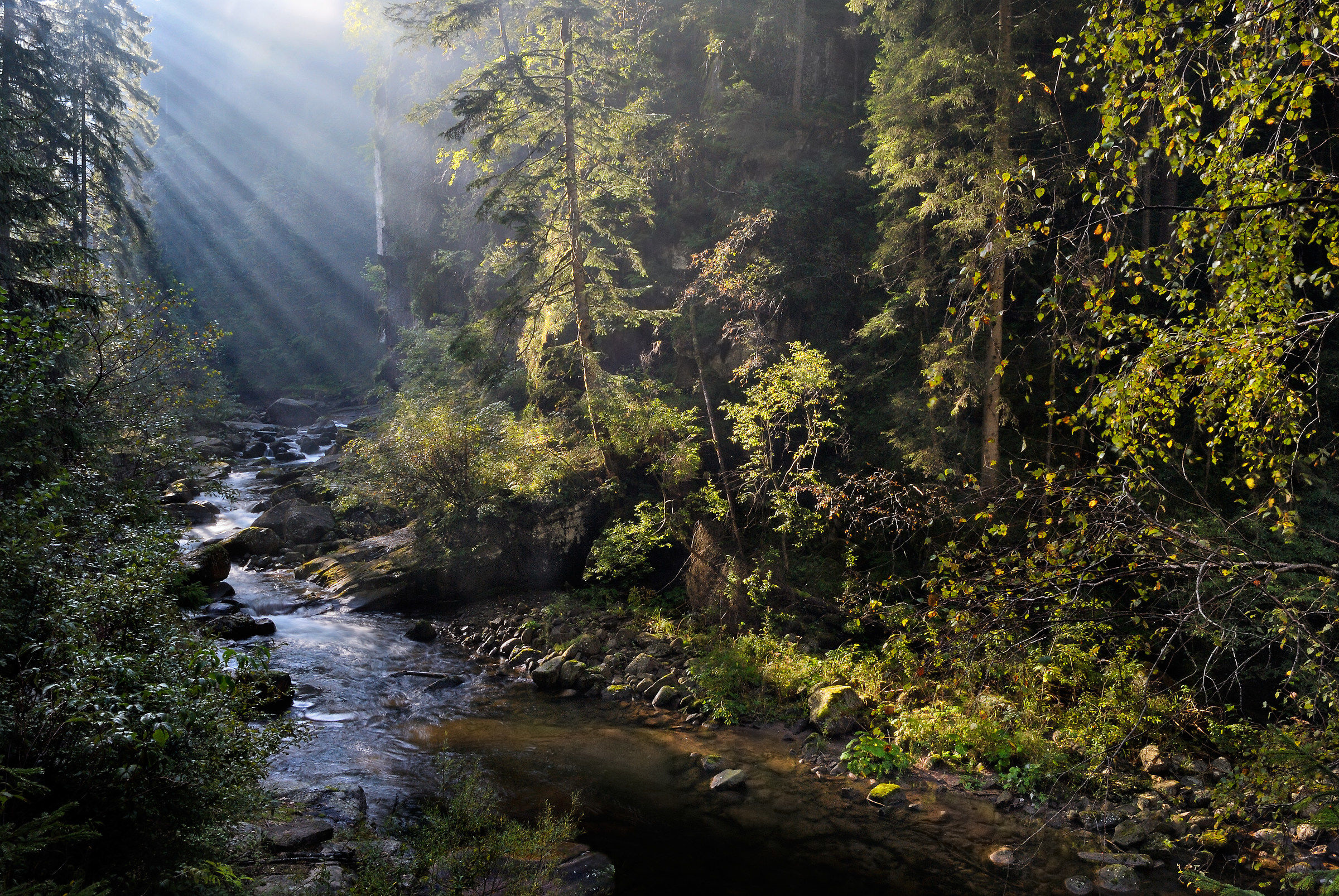 Torrente Travignolo to Sottosassa
