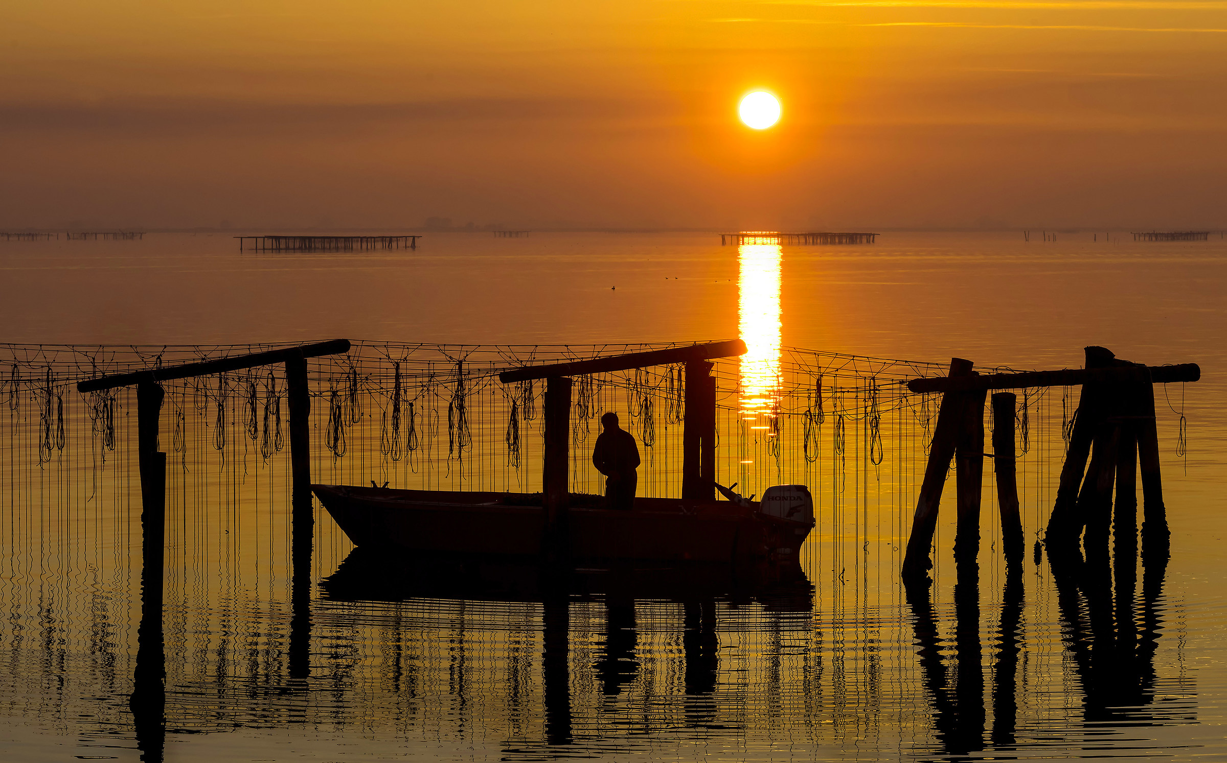 Sacca di Scardovari 2