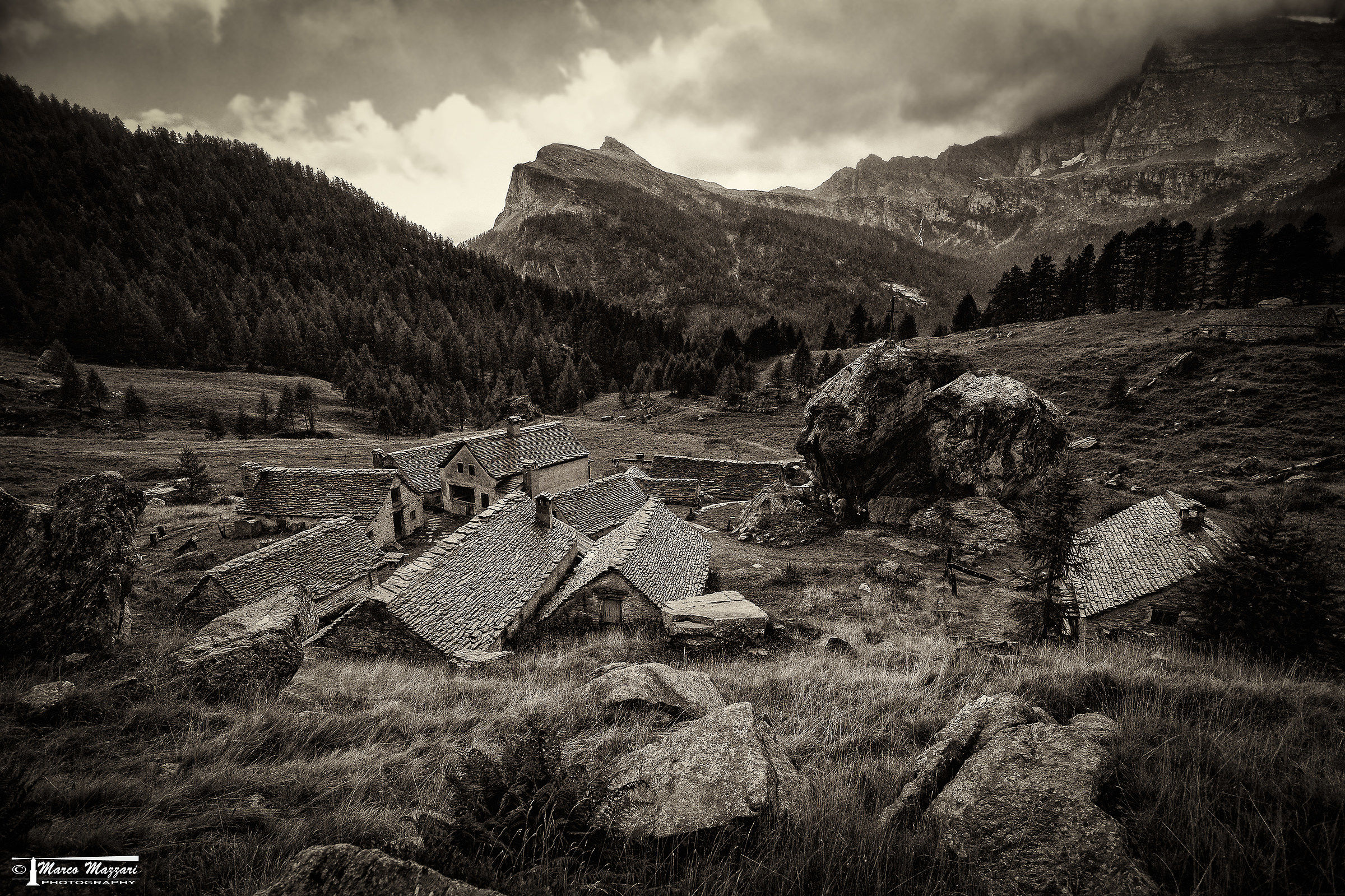 Vecchi Tetti Bagnati