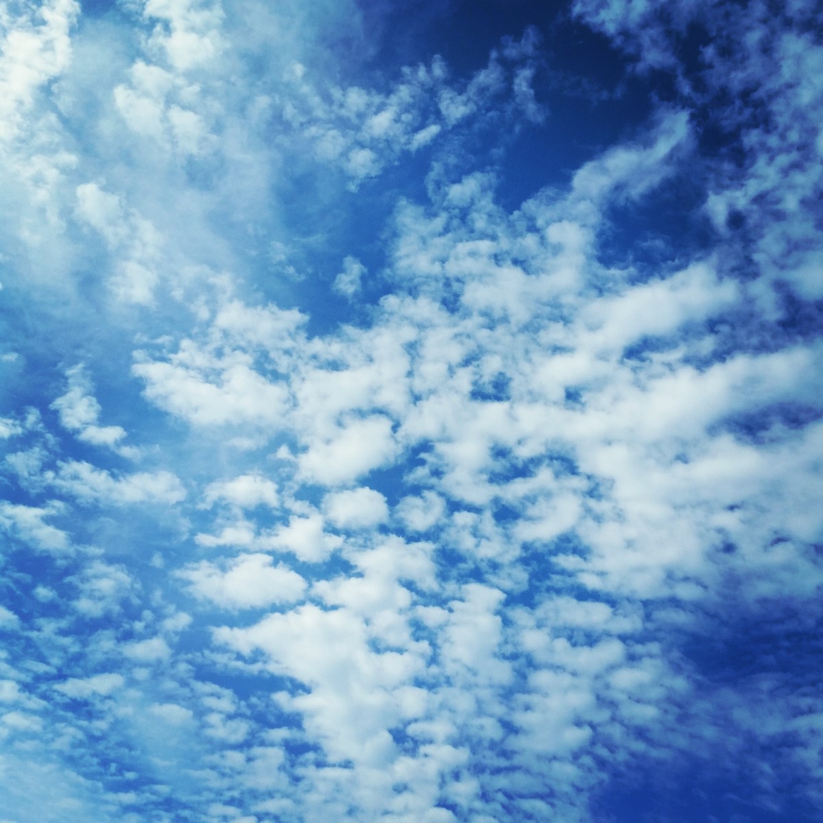 The sky is blue above the clouds