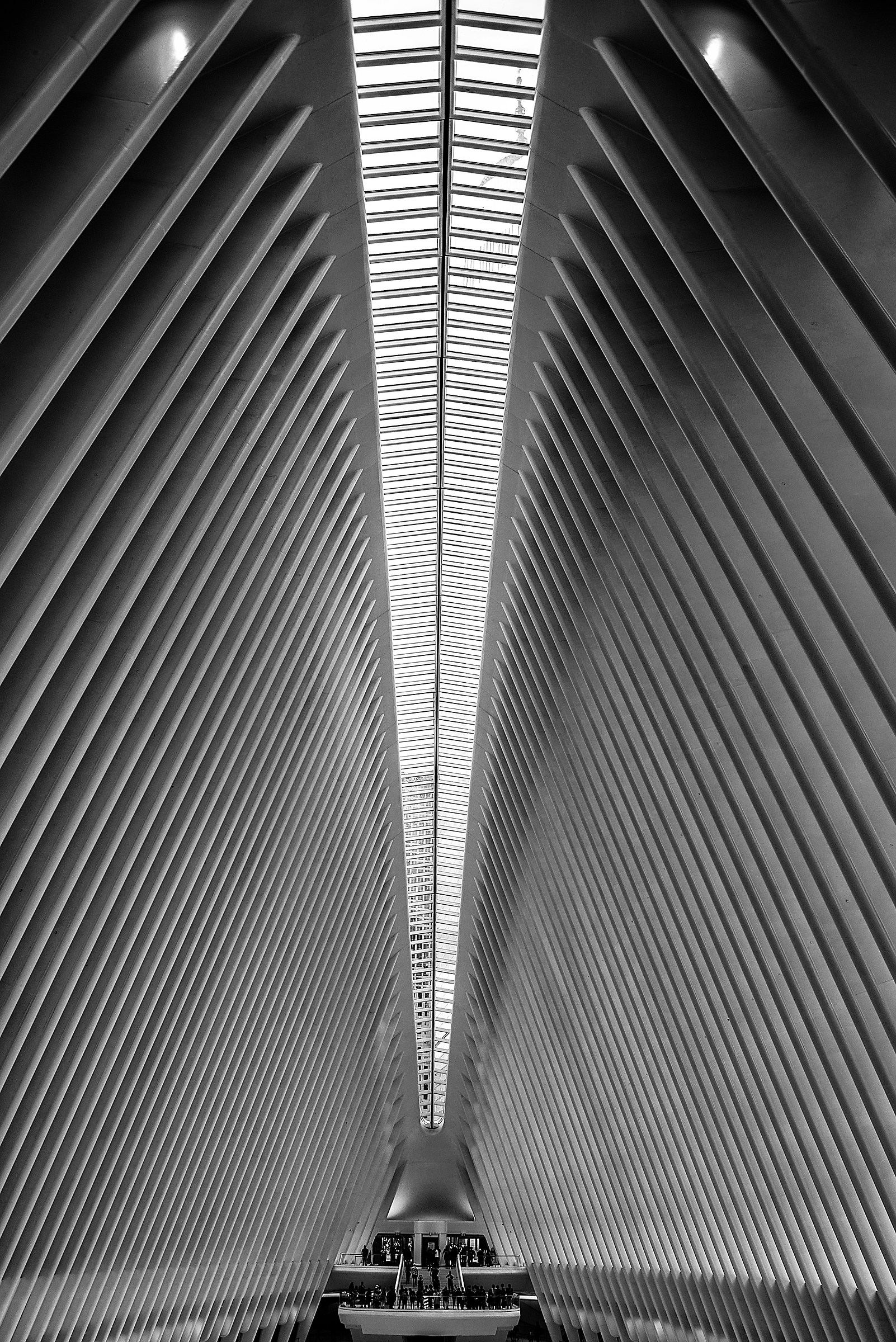 The Oculus