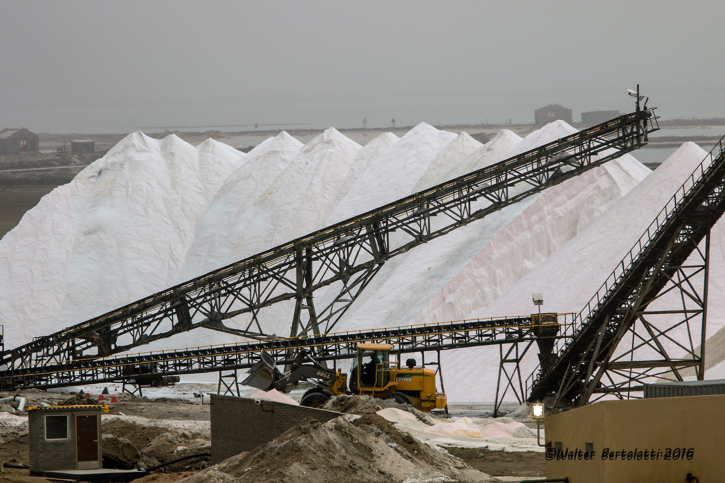 the white gold of Namibia