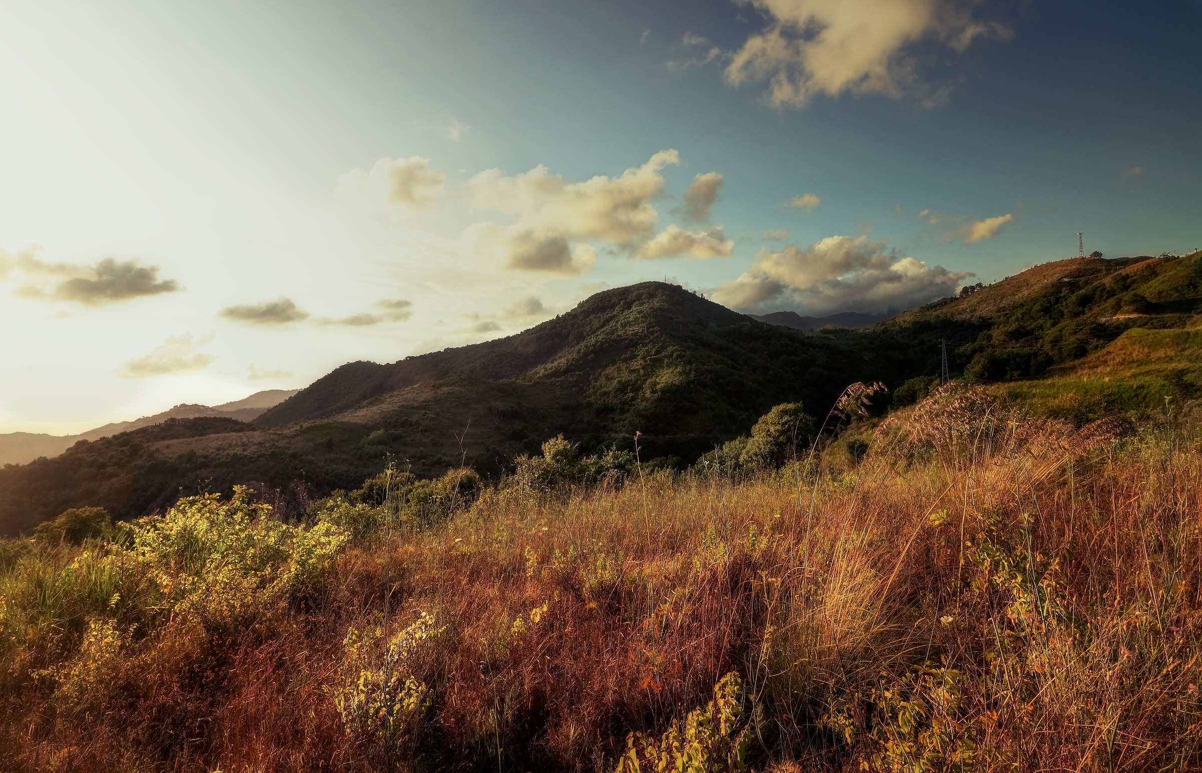 A quiet summer afternoon