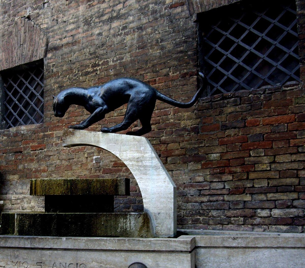 A panther in Siena