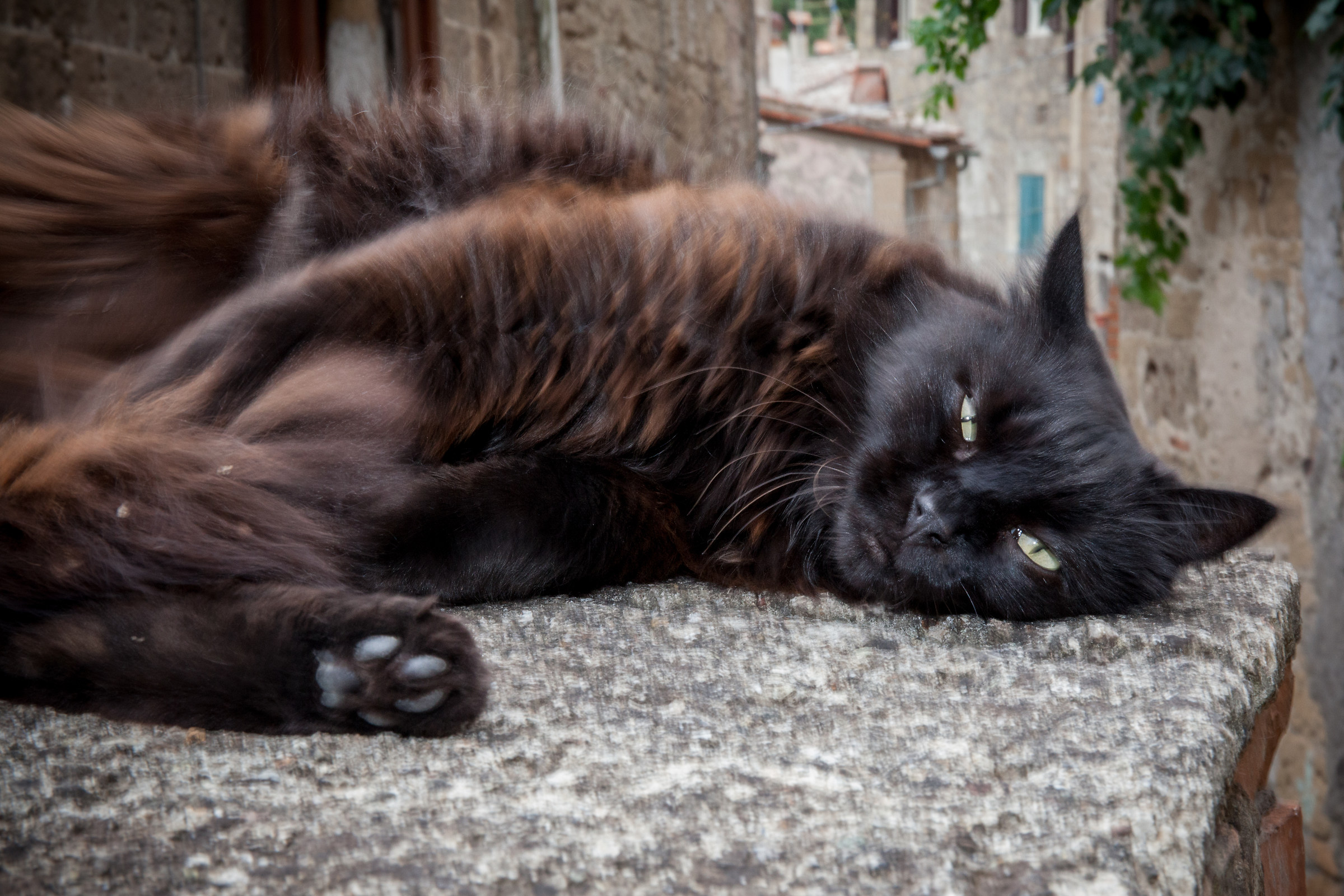 Do not move that is moved