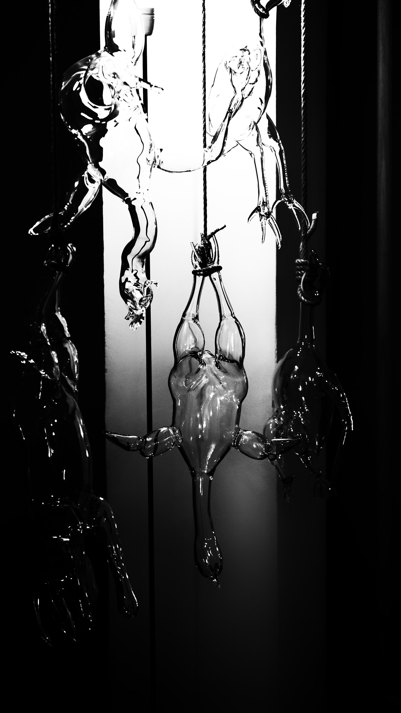 la dispensa di vetro