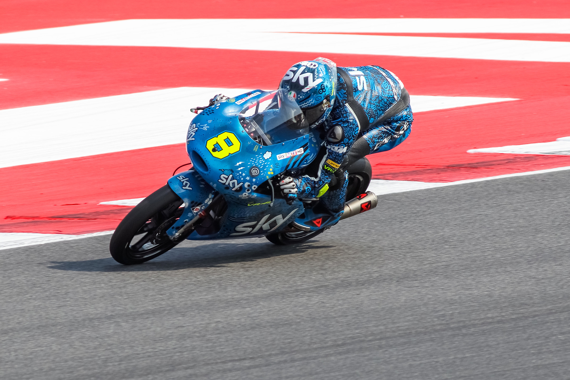 Bulega