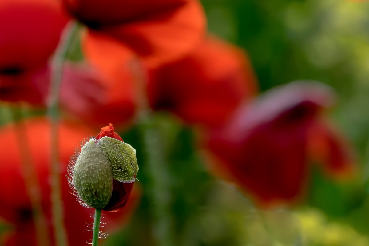 New life.......................