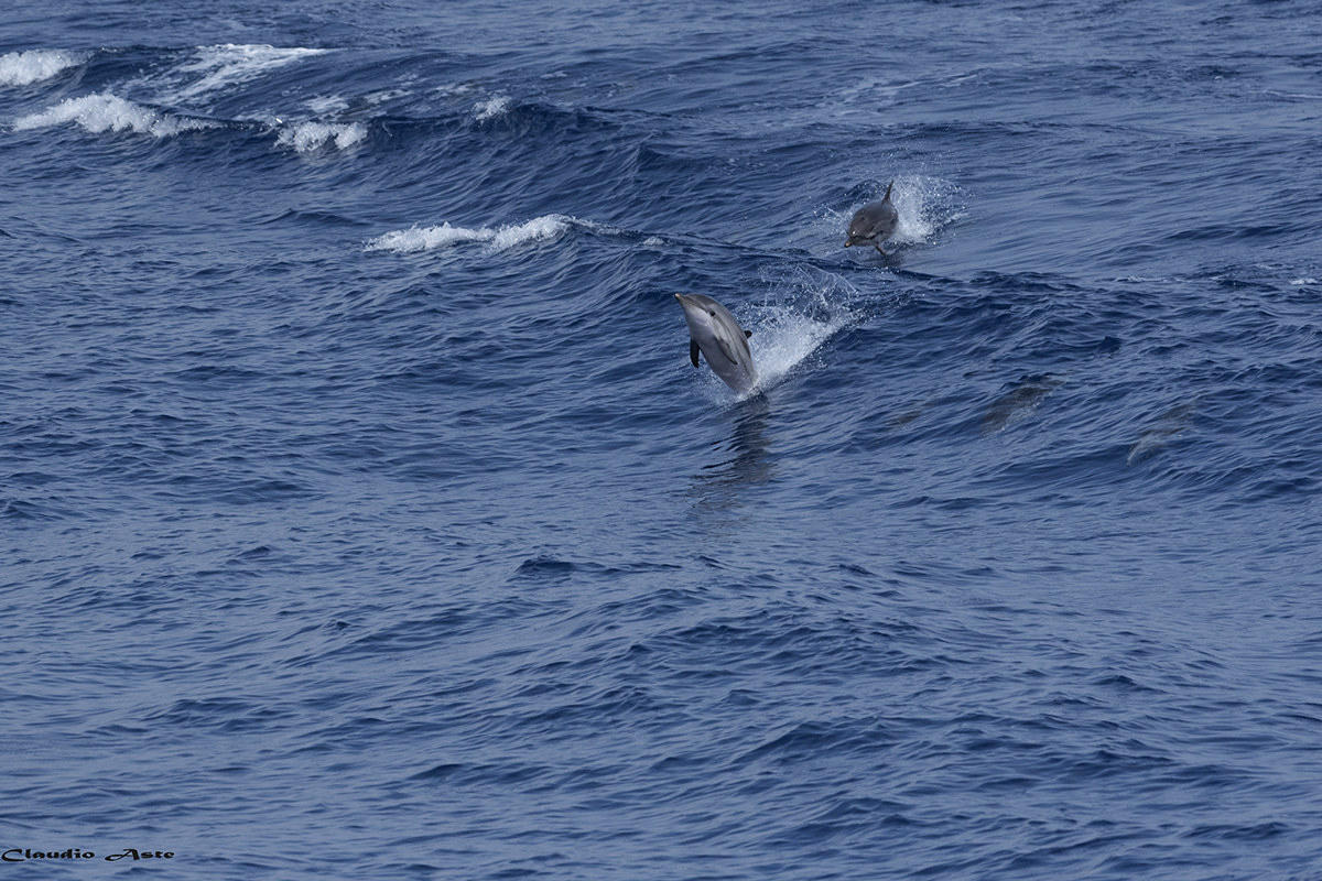 Tracking in the waves