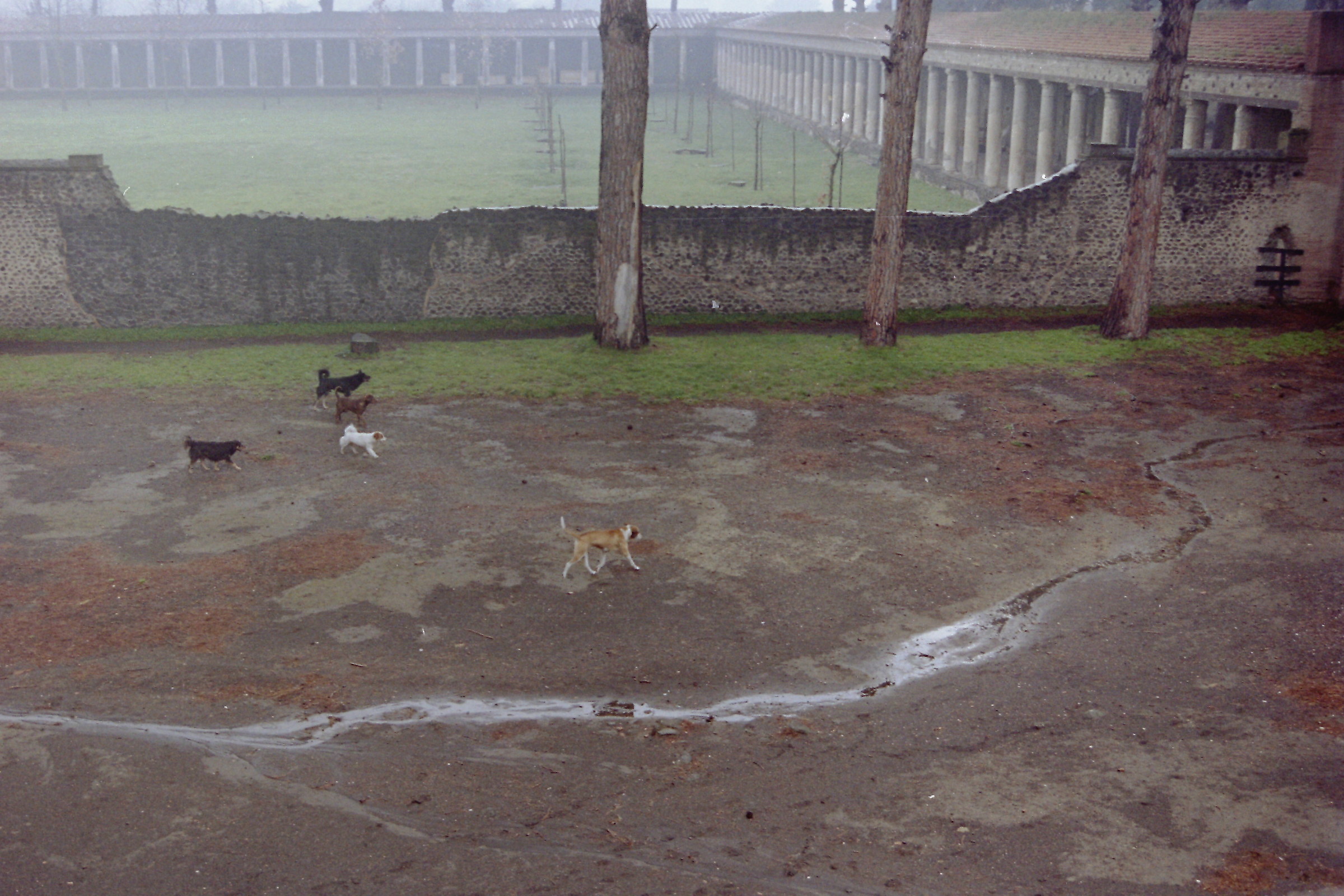 Pompei. Via 3. Visita di gruppo.