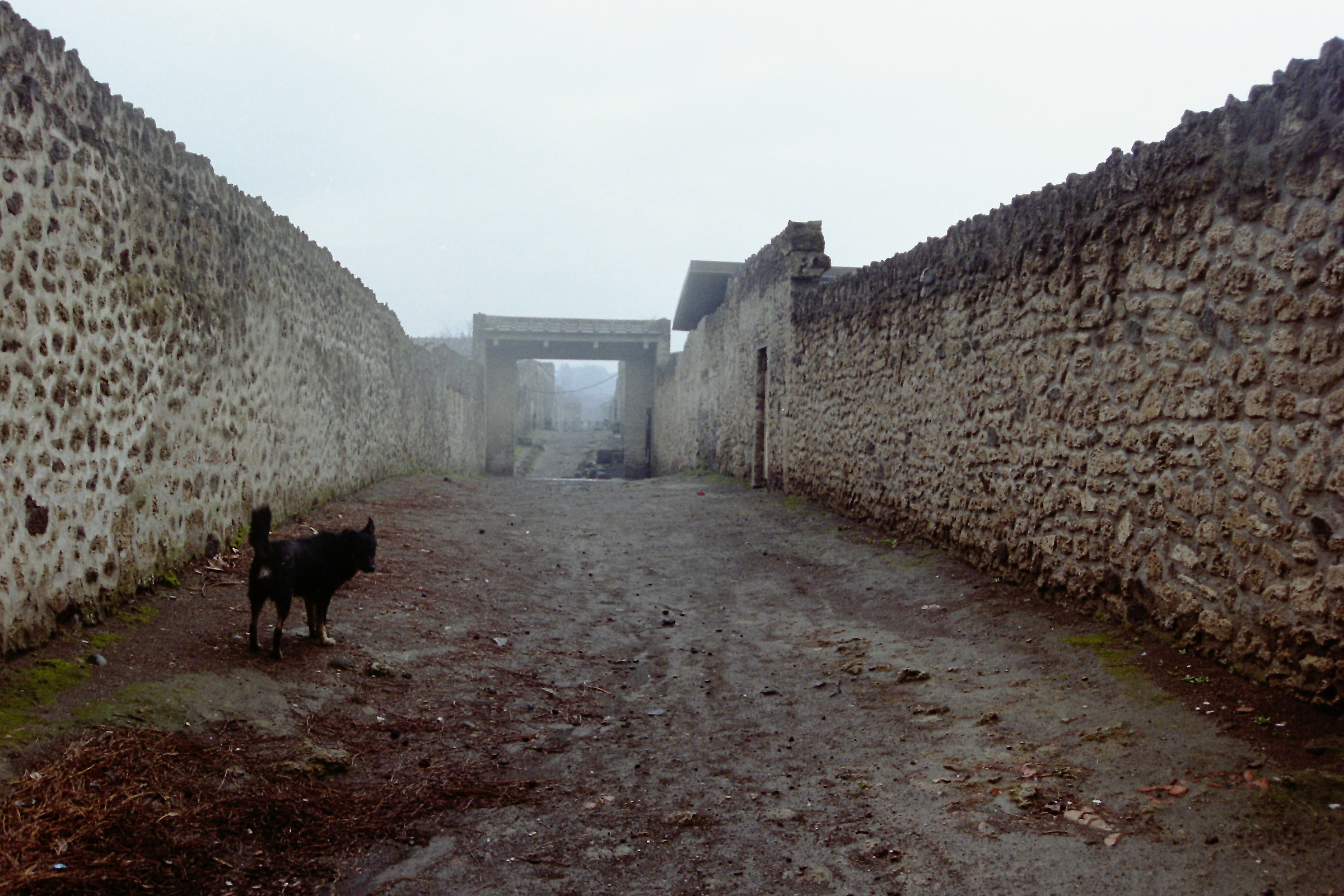 Pompei. Via 4. Visita solitaria.